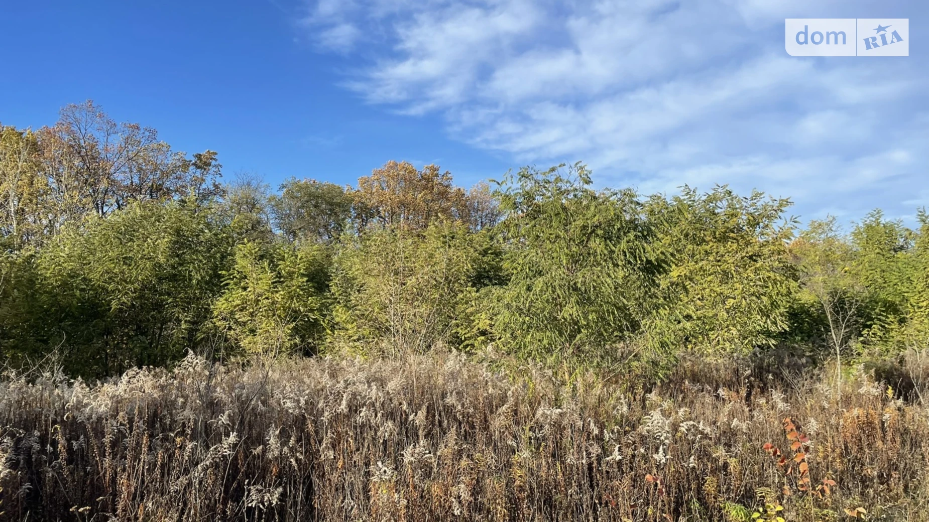 Продается земельный участок 20 соток в Винницкой области, цена: 40500 $ - фото 4