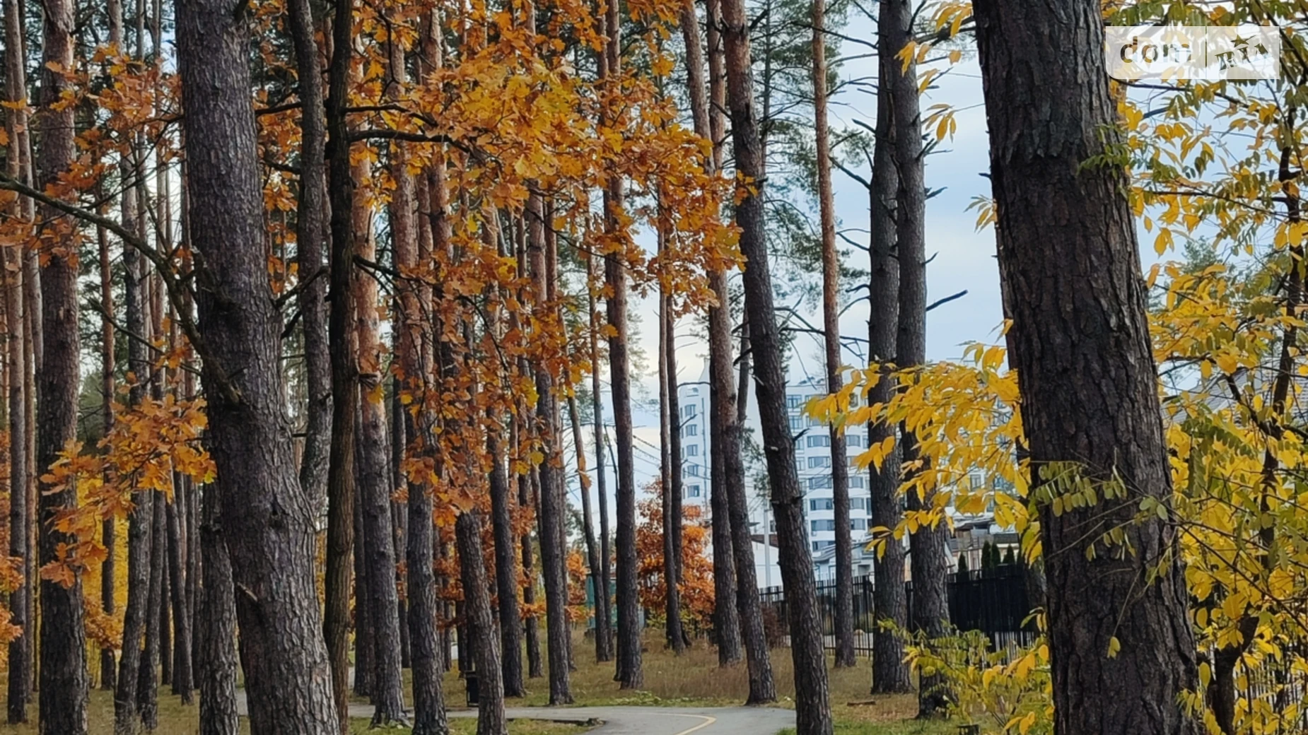 ул. Охотничья, 24 Гостомель ЖК Авиатор - фото 5