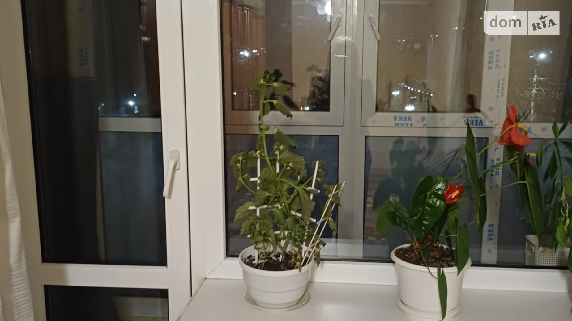 Сдается в аренду 2-комнатная квартира 48 кв. м в Виннице, Хмельницкое шоссе, 4 - фото 3
