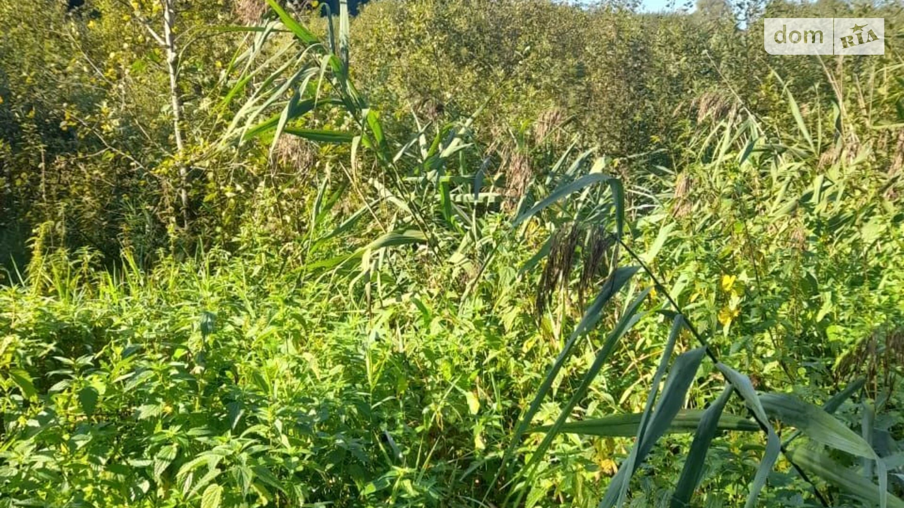 Сдается в аренду земельный участок 3.728 соток в Львовской области, цена: 2639 грн - фото 2