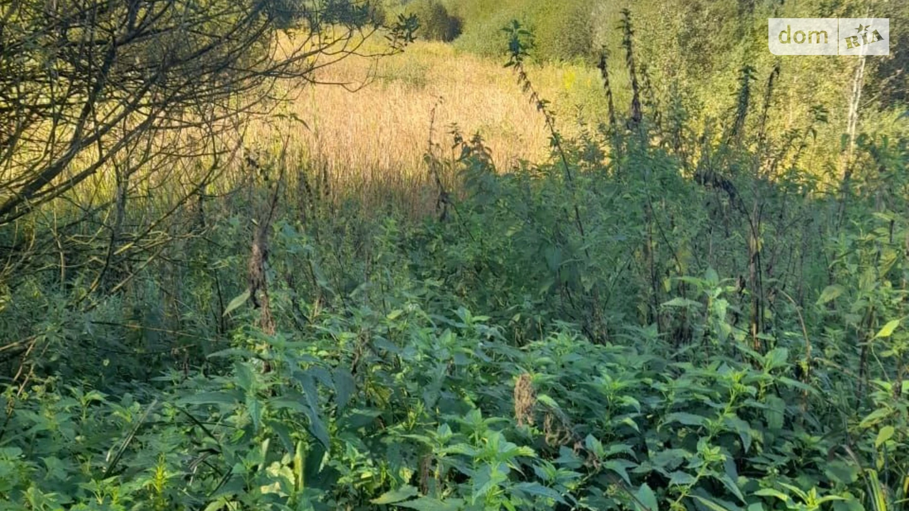 Сдается в аренду земельный участок 3.728 соток в Львовской области, цена: 2639 грн - фото 3