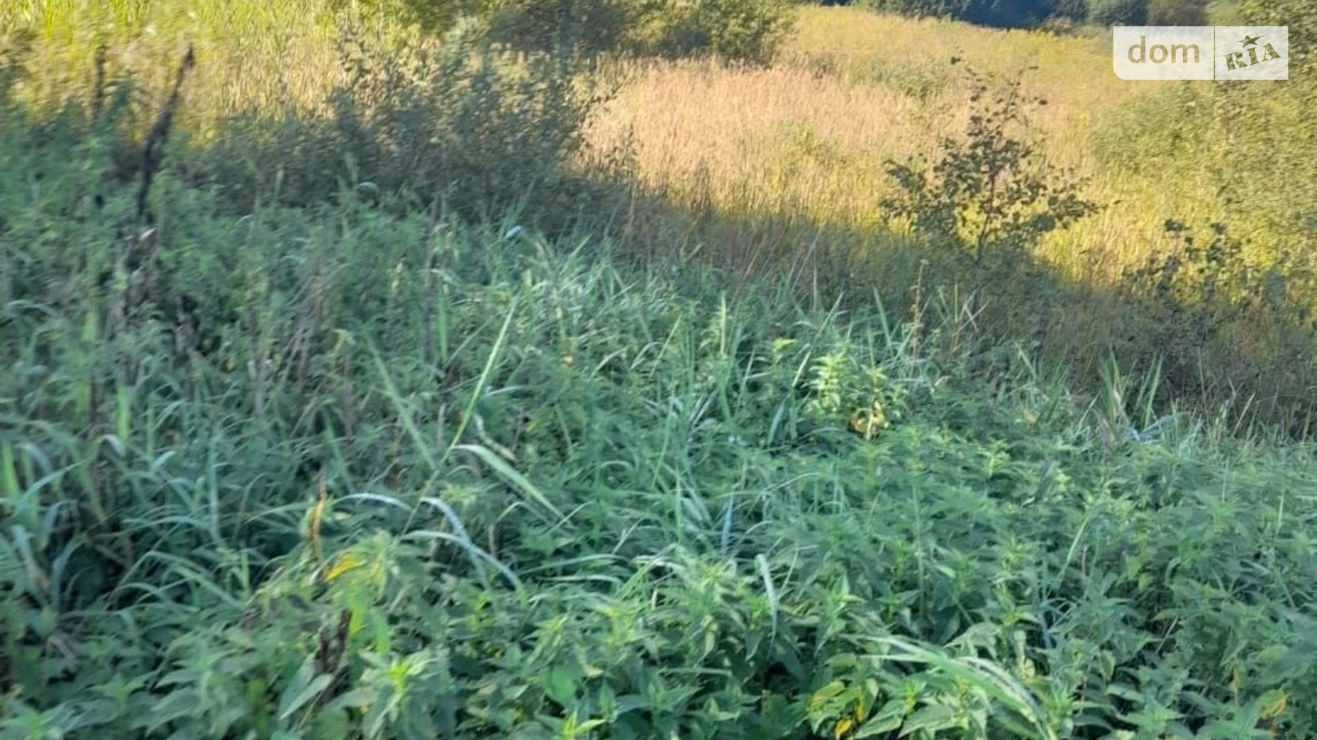 Сдается в аренду земельный участок 3.728 соток в Львовской области, цена: 2639 грн - фото 5