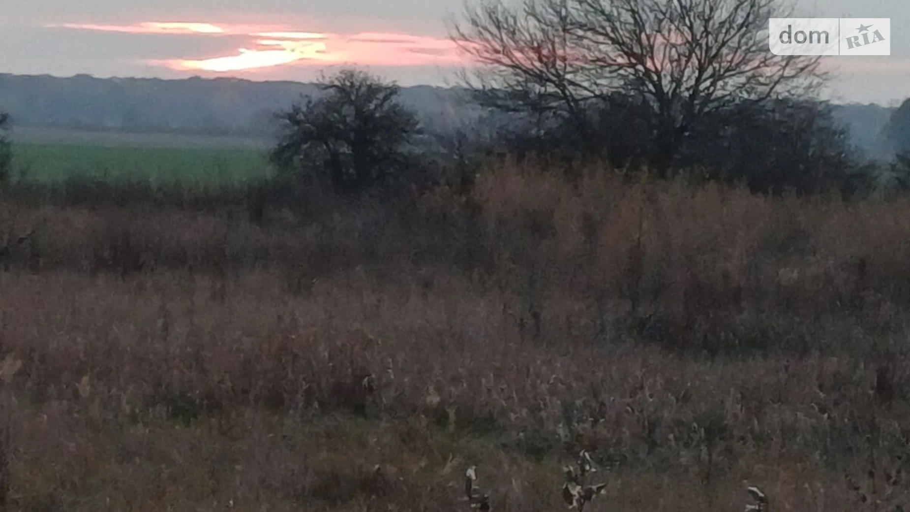 Сдается в аренду земельный участок 6.7389 соток в Киевской области, цена: 8085 грн - фото 3