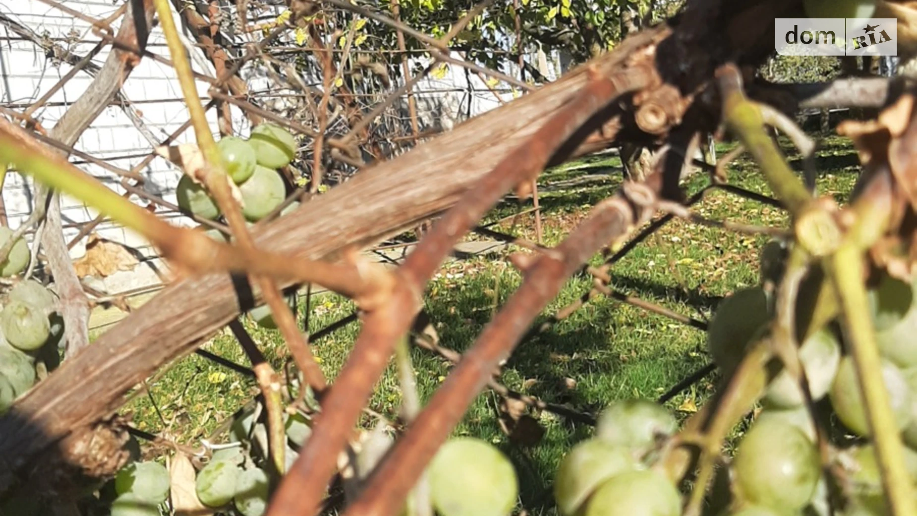 ул. Луговая Стрижавка, цена: 100000 $ - фото 5
