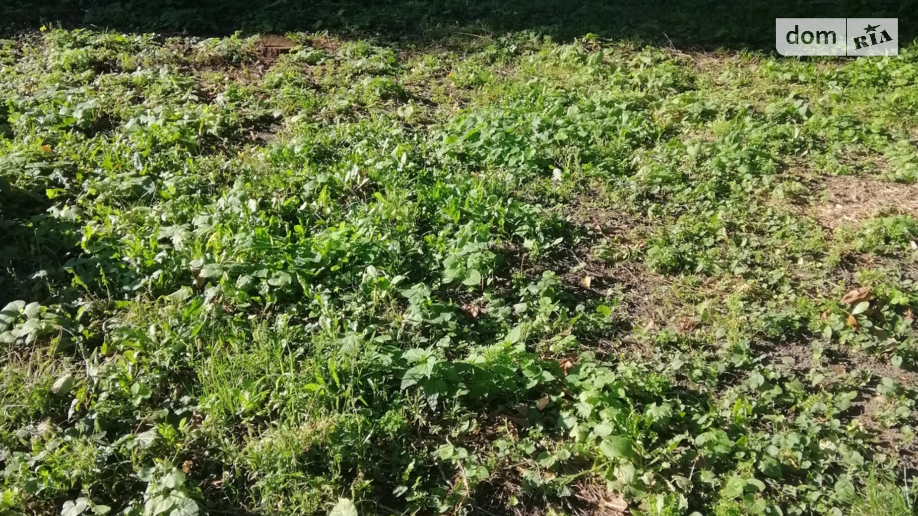 Продается одноэтажный дом 65 кв. м с камином, цена: 100000 $ - фото 2