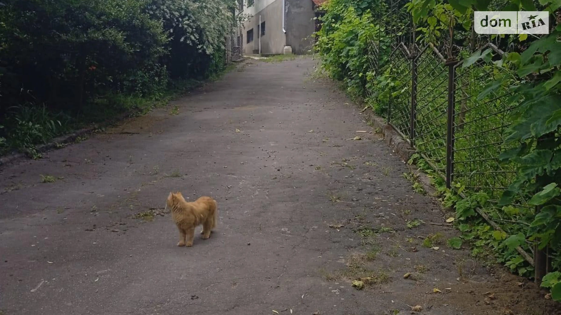 Продается дом на 2 этажа 441.1 кв. м с бассейном, цена: 250000 $ - фото 4