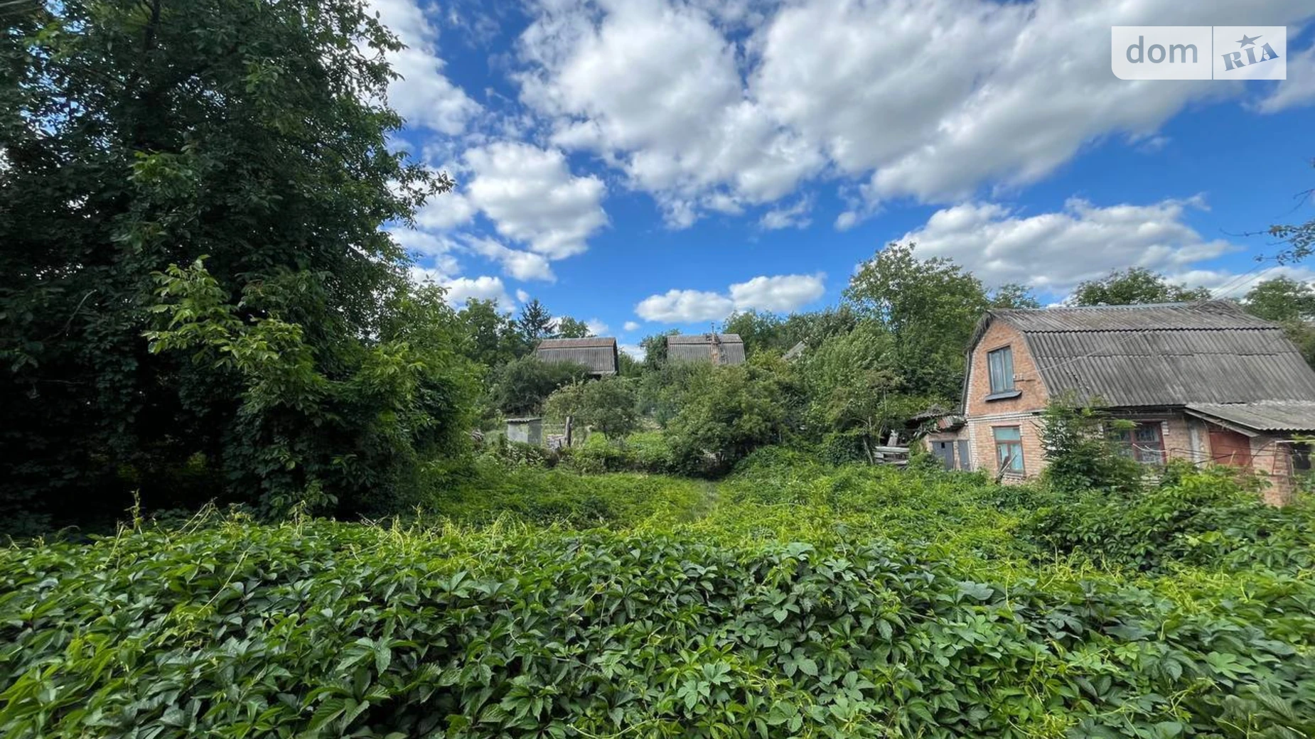 Продається земельна ділянка 4.96 соток у Вінницькій області, цена: 27999 $ - фото 2