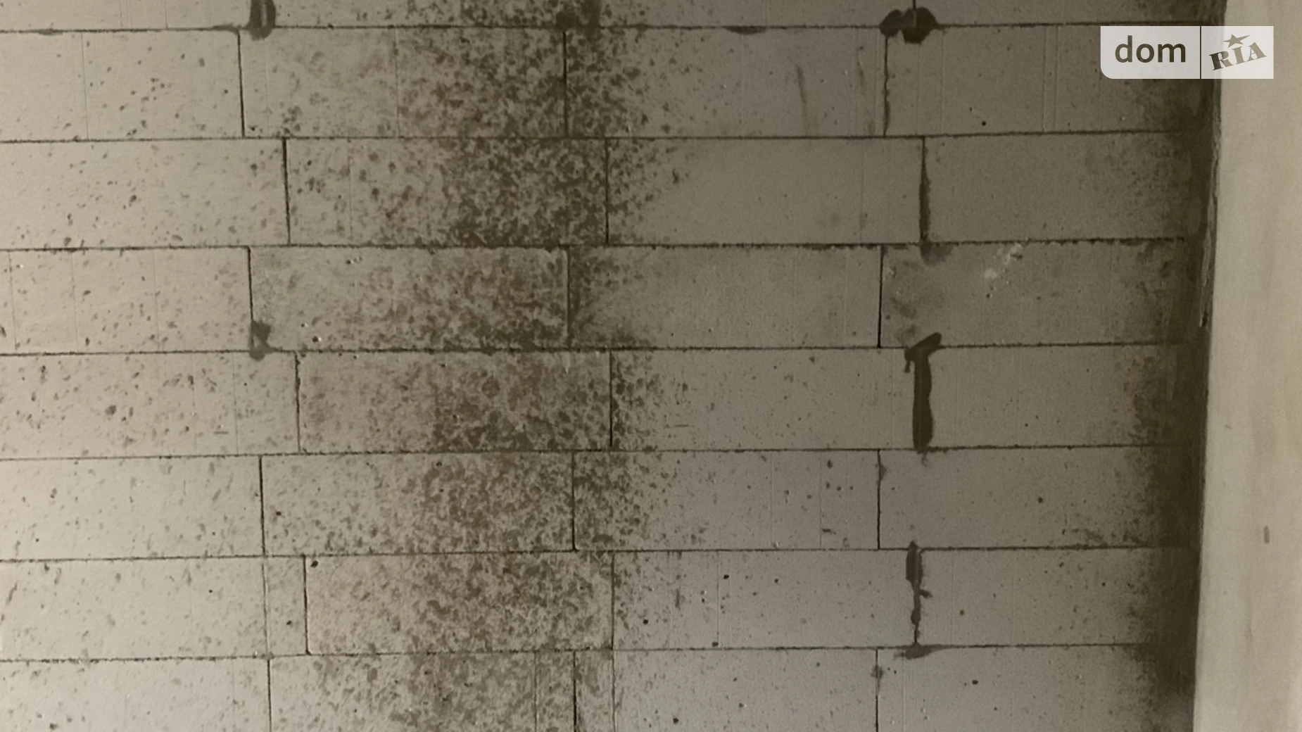 Продається 2-кімнатна квартира 53 кв. м у Гостомелі, вул. Соборна, 1 - фото 2