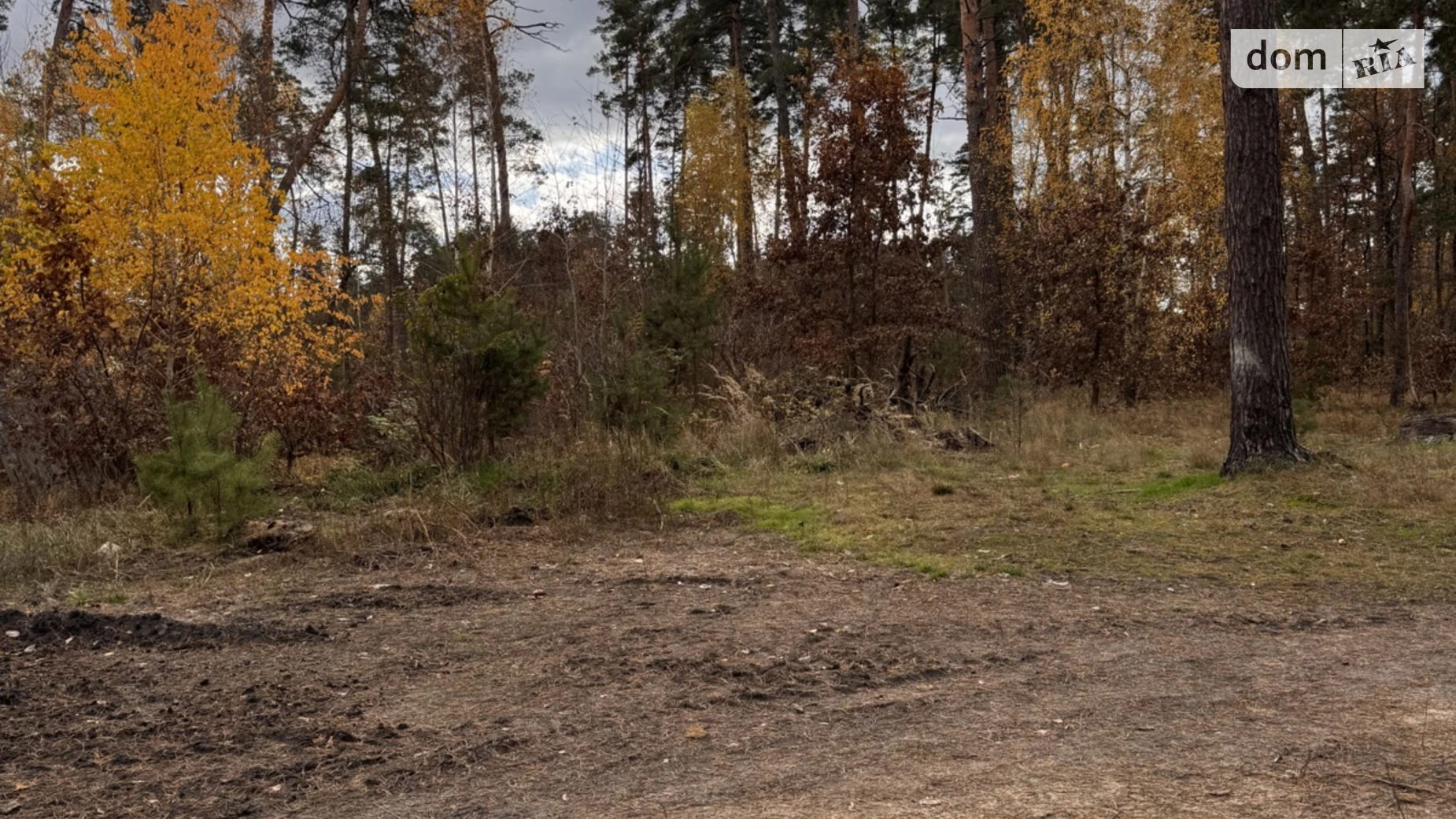 Продается земельный участок 10 соток в Киевской области, цена: 140000 $ - фото 3