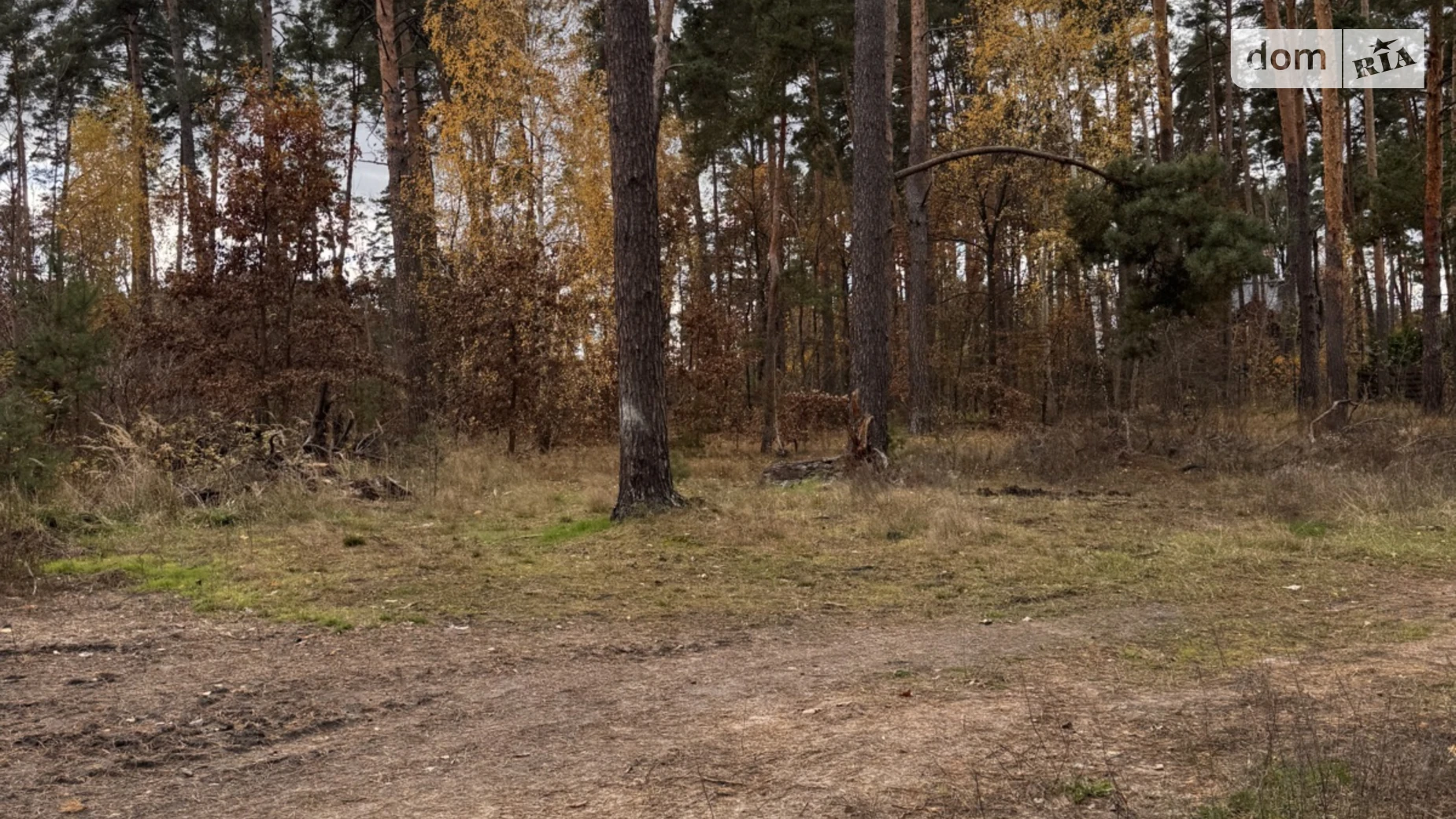 Продается земельный участок 10 соток в Киевской области, цена: 140000 $ - фото 2