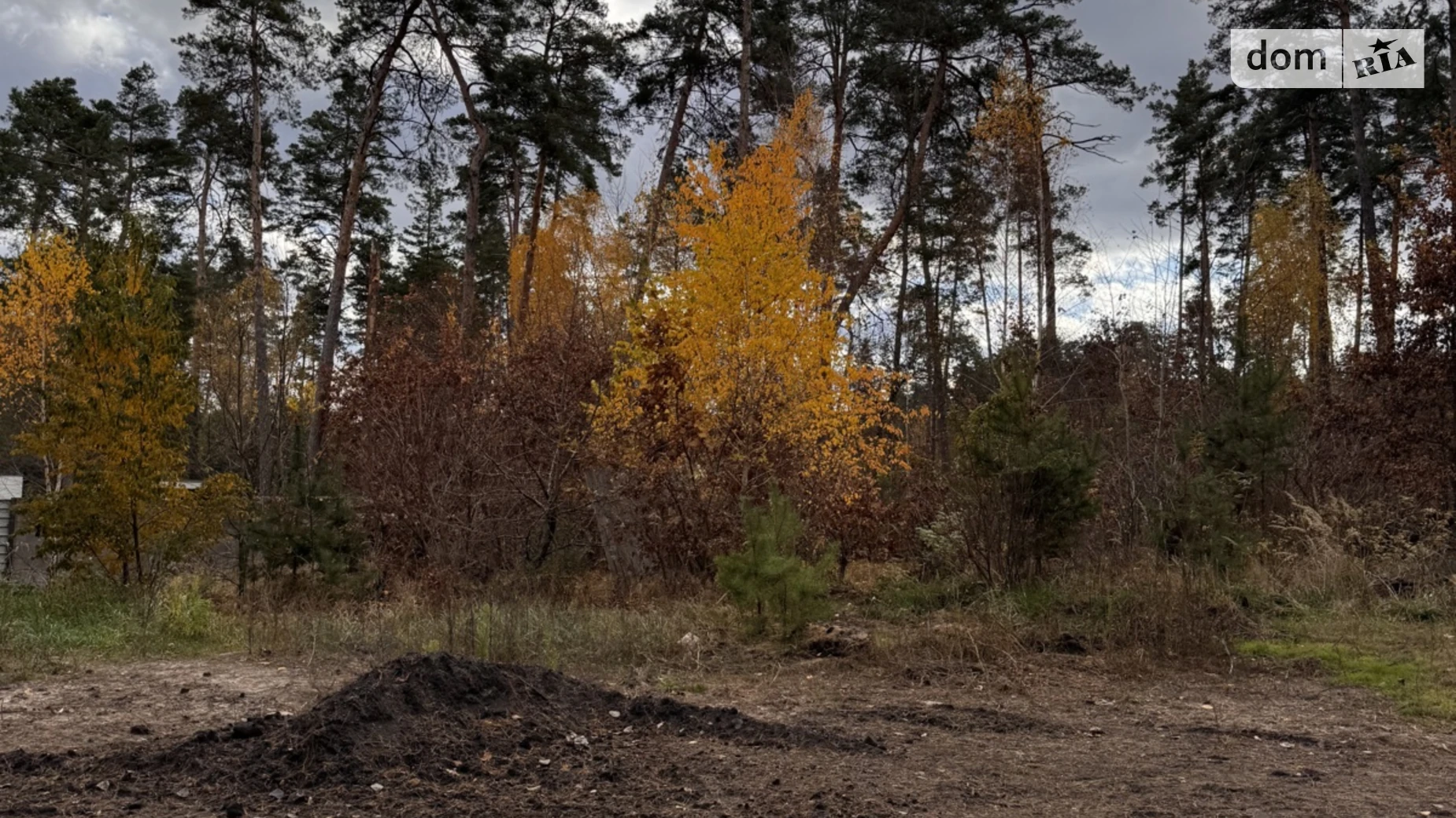 Продается земельный участок 10 соток в Киевской области, цена: 140000 $ - фото 4