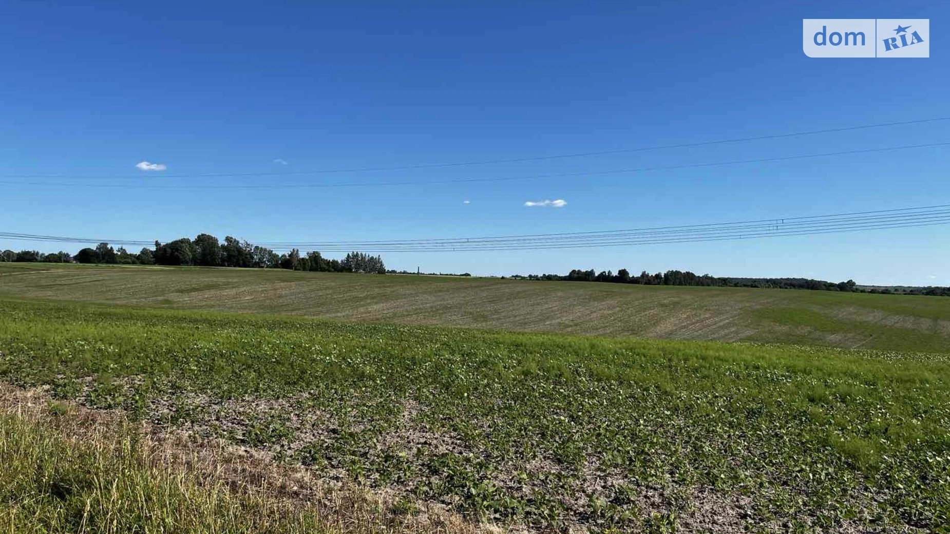 Здається в оренду земельна ділянка 14.3834 соток у Тернопільській області, цена: 230134 грн - фото 2
