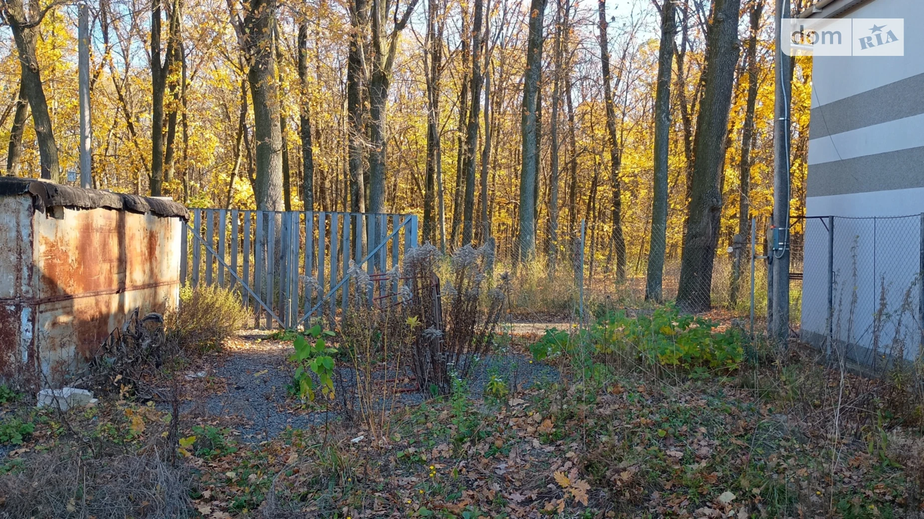 мас. Поляна Прибужское (Шкуринци), цена: 45000 $ - фото 2