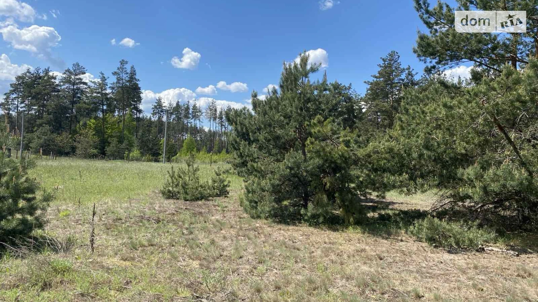 Продается земельный участок 12 соток в Киевской области, цена: 4500 $ - фото 5