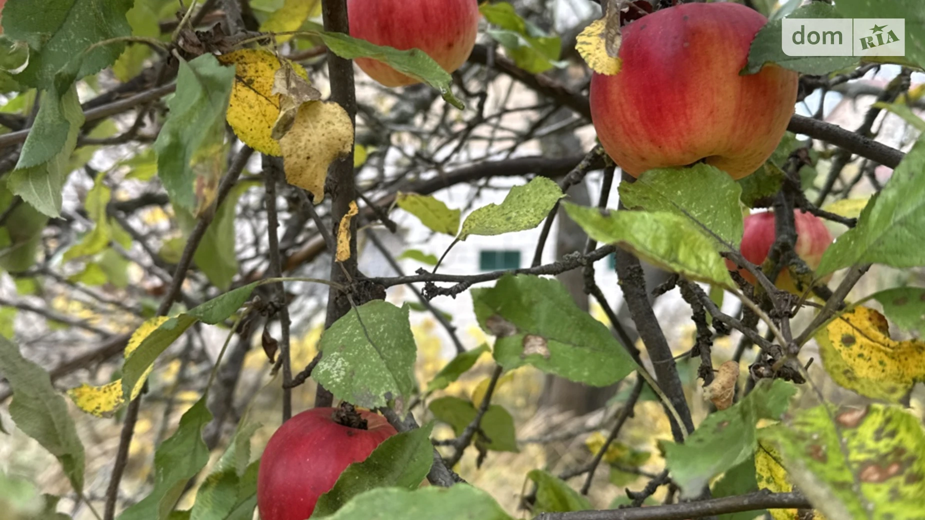 Продається земельна ділянка 6 соток у Київській області, цена: 30000 $ - фото 4