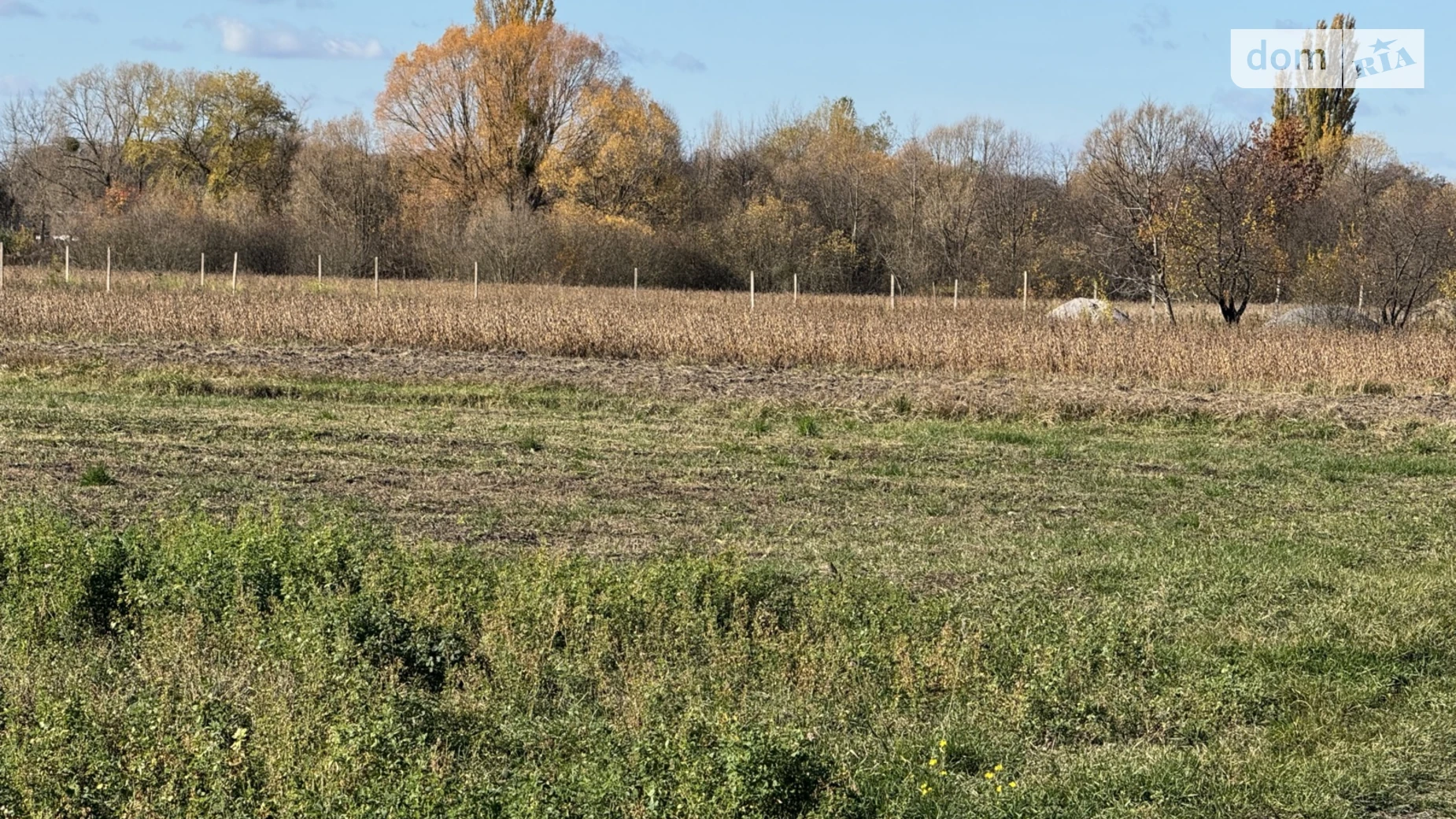 Продается земельный участок 25 соток в Винницкой области, цена: 22500 $ - фото 3