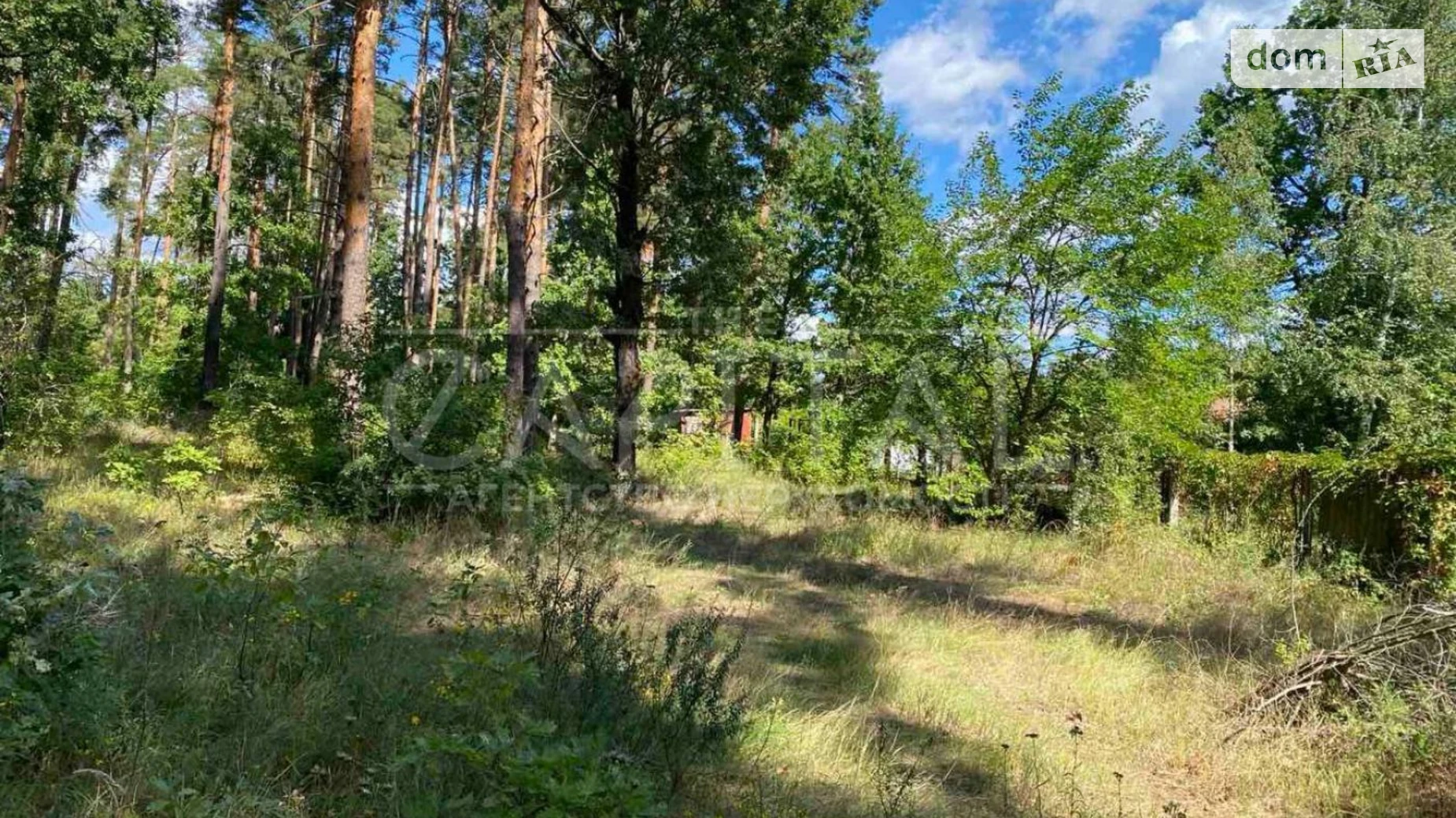 Продается земельный участок 10 соток в Киевской области, цена: 35000 $ - фото 2