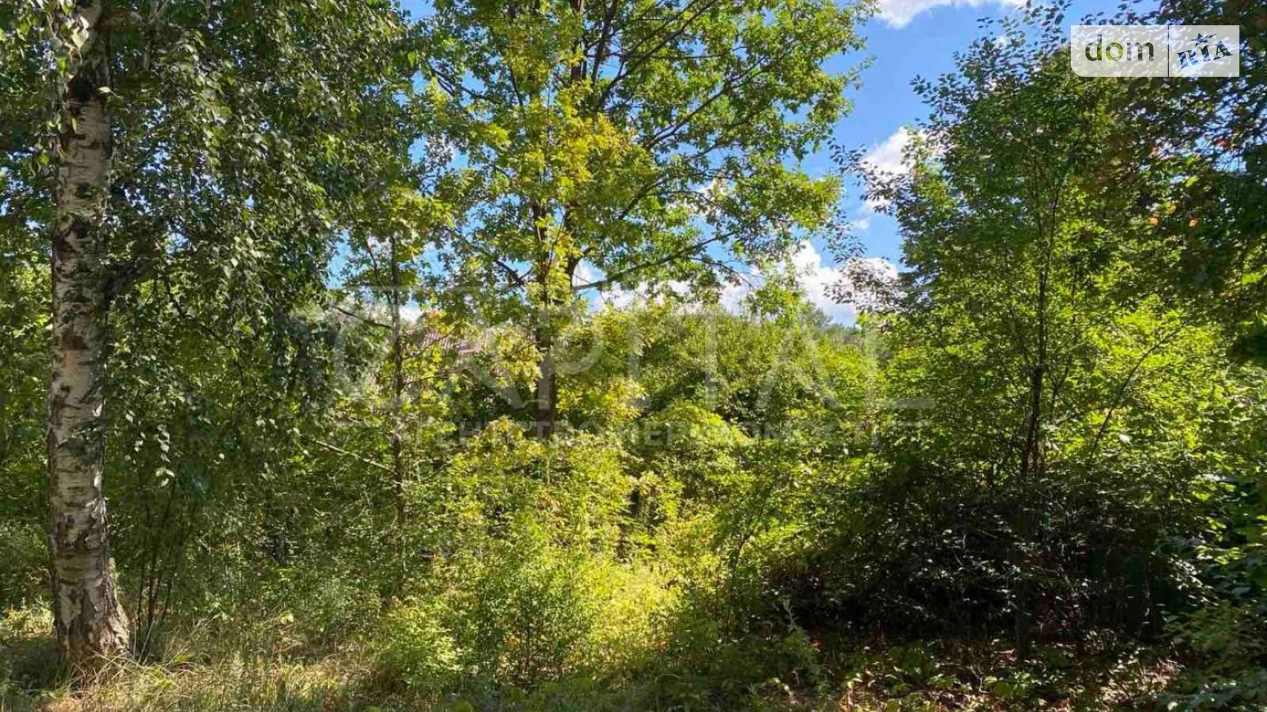 Продается земельный участок 10 соток в Киевской области, цена: 35000 $ - фото 3