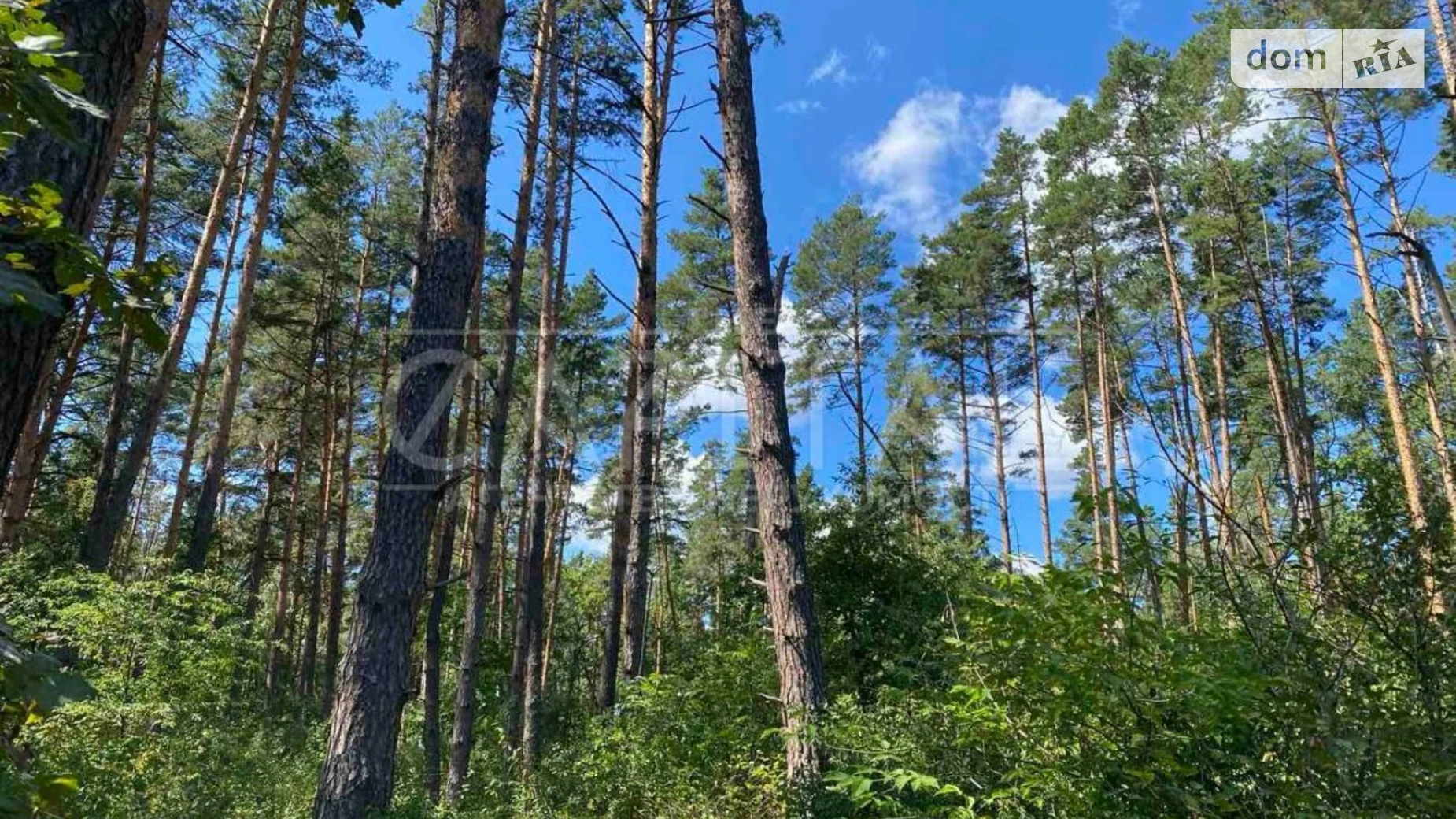 Продается земельный участок 10 соток в Киевской области, цена: 35000 $ - фото 4