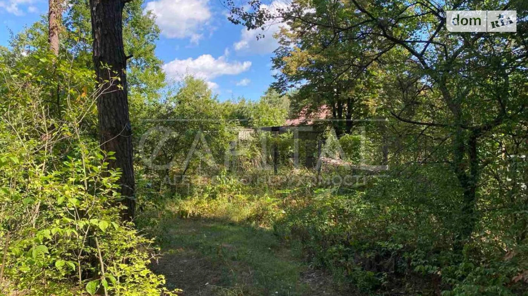 Продается земельный участок 10 соток в Киевской области, цена: 35000 $ - фото 5