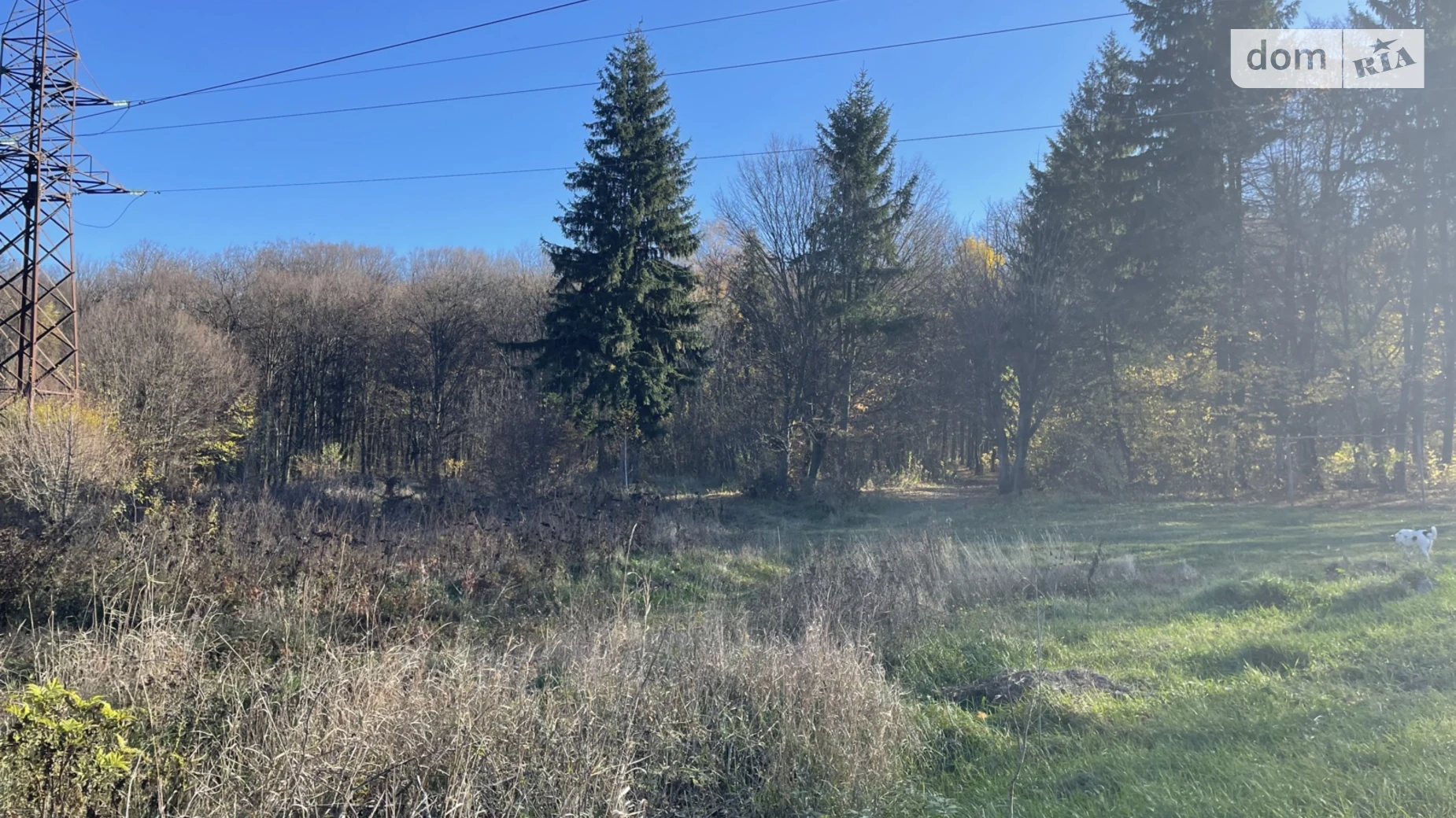 Продается земельный участок 35 соток в Винницкой области, цена: 80000 $ - фото 2