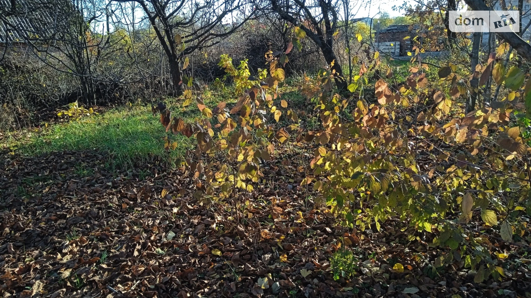 Продается земельный участок 5 соток в Винницкой области, цена: 16000 $ - фото 5