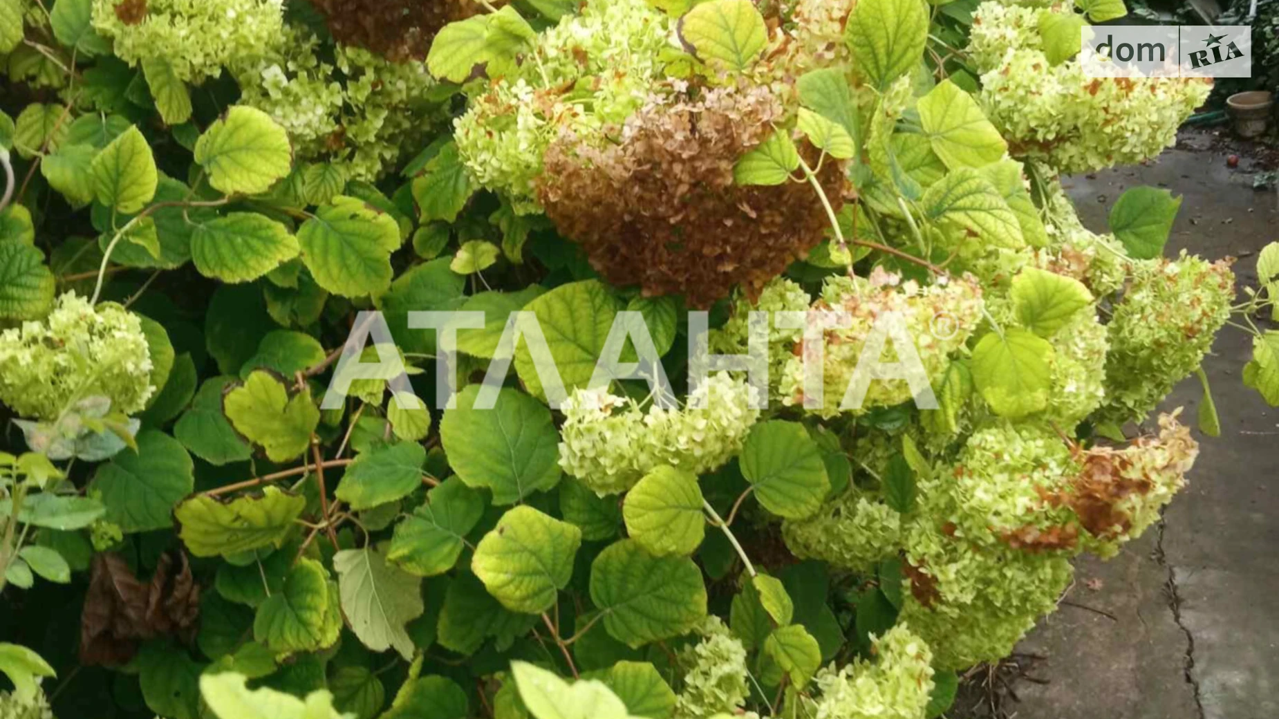 Продается земельный участок 9.25 соток в Одесской области, цена: 420000 $ - фото 4