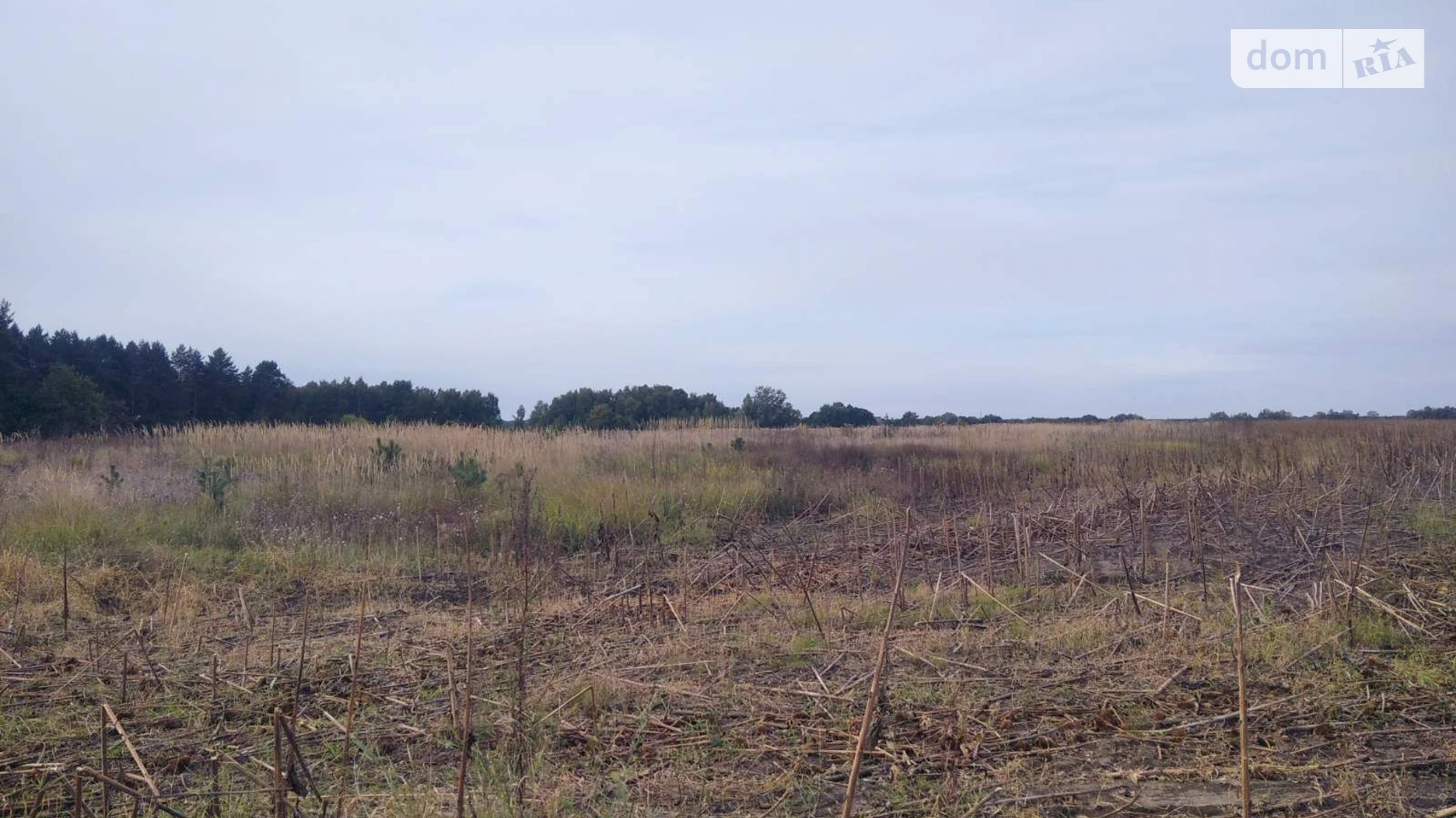 Сдается в аренду земельный участок 4.6253 соток в Черниговской области, цена: 9142 грн - фото 2