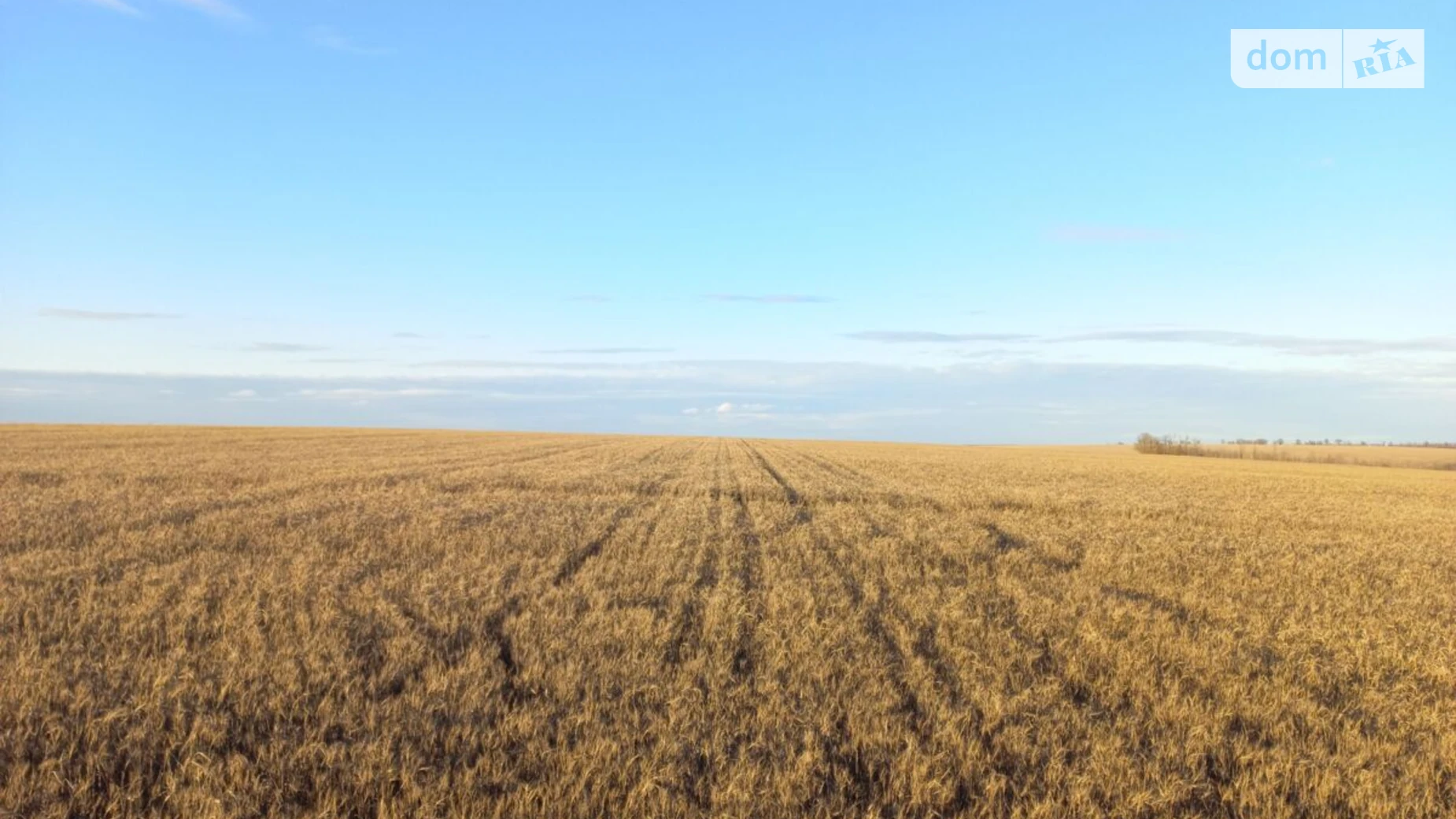 Сдается в аренду земельный участок 15.9689 соток в Херсонской области, цена: 62995 грн - фото 5