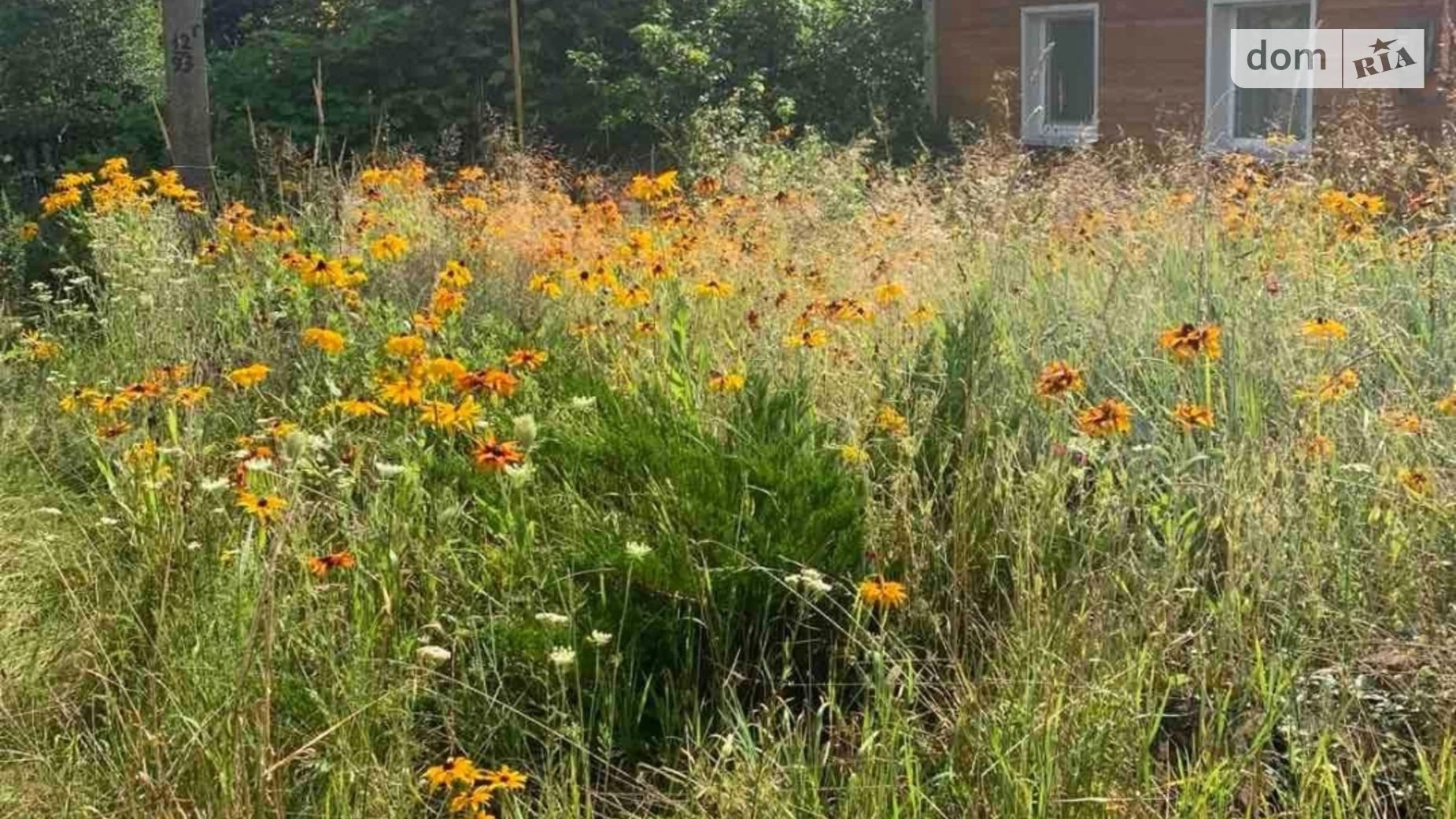 Продается одноэтажный дом 54.5 кв. м с участком, цена: 10500 $ - фото 3