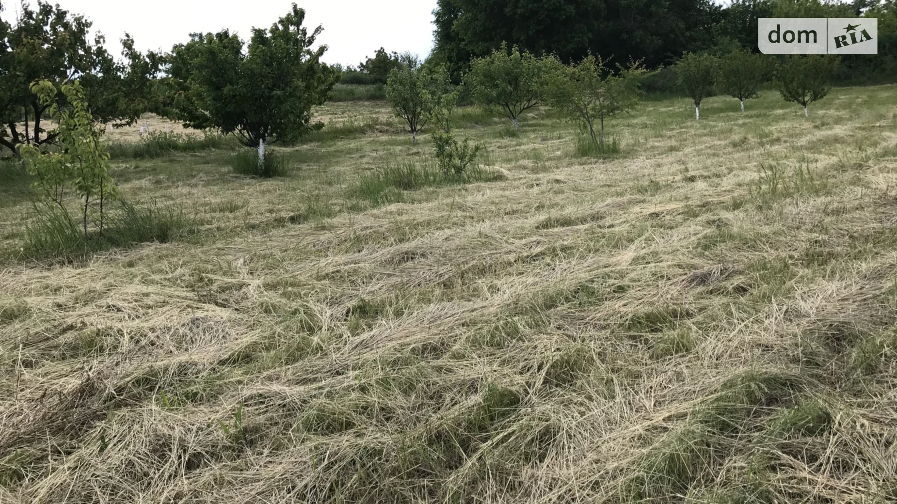 Продается земельный участок 20 соток в Днепропетровской области, цена: 10290 $ - фото 4