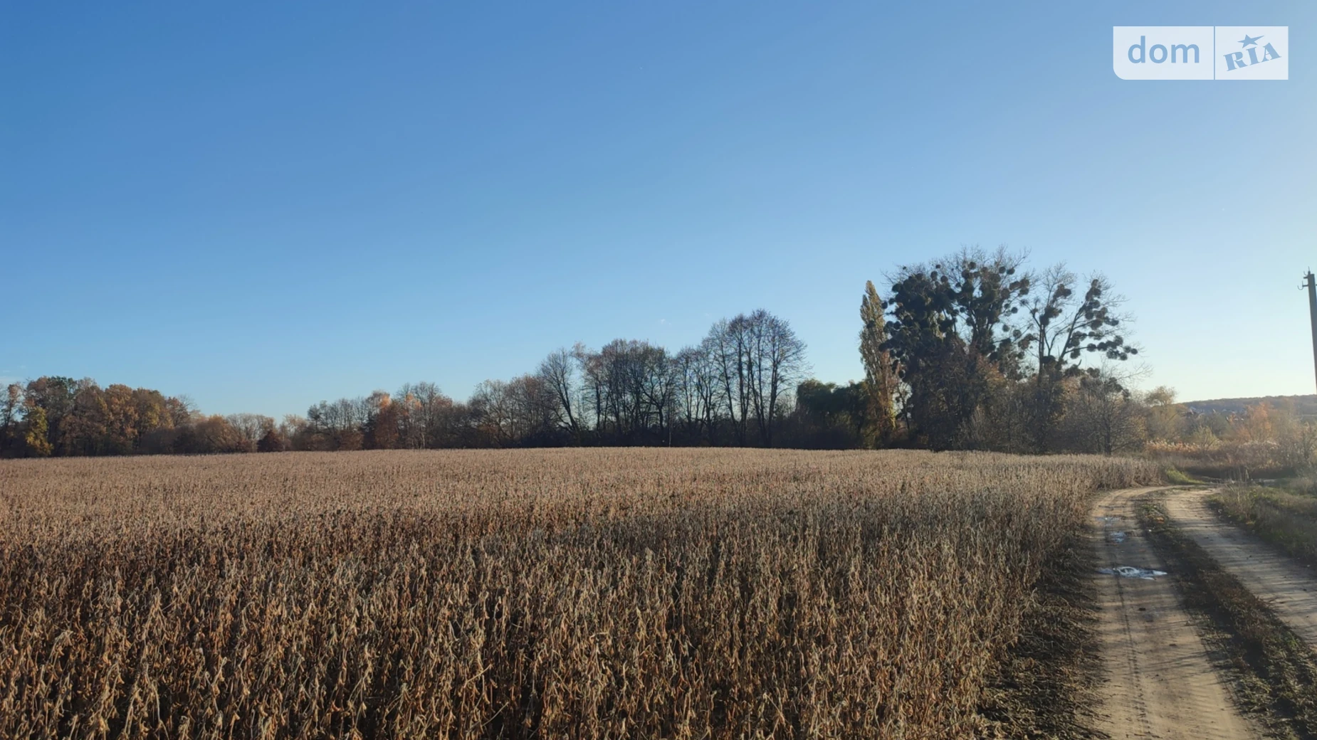 ул. Барвинковая Якушинцы, цена: 200000 $ - фото 3