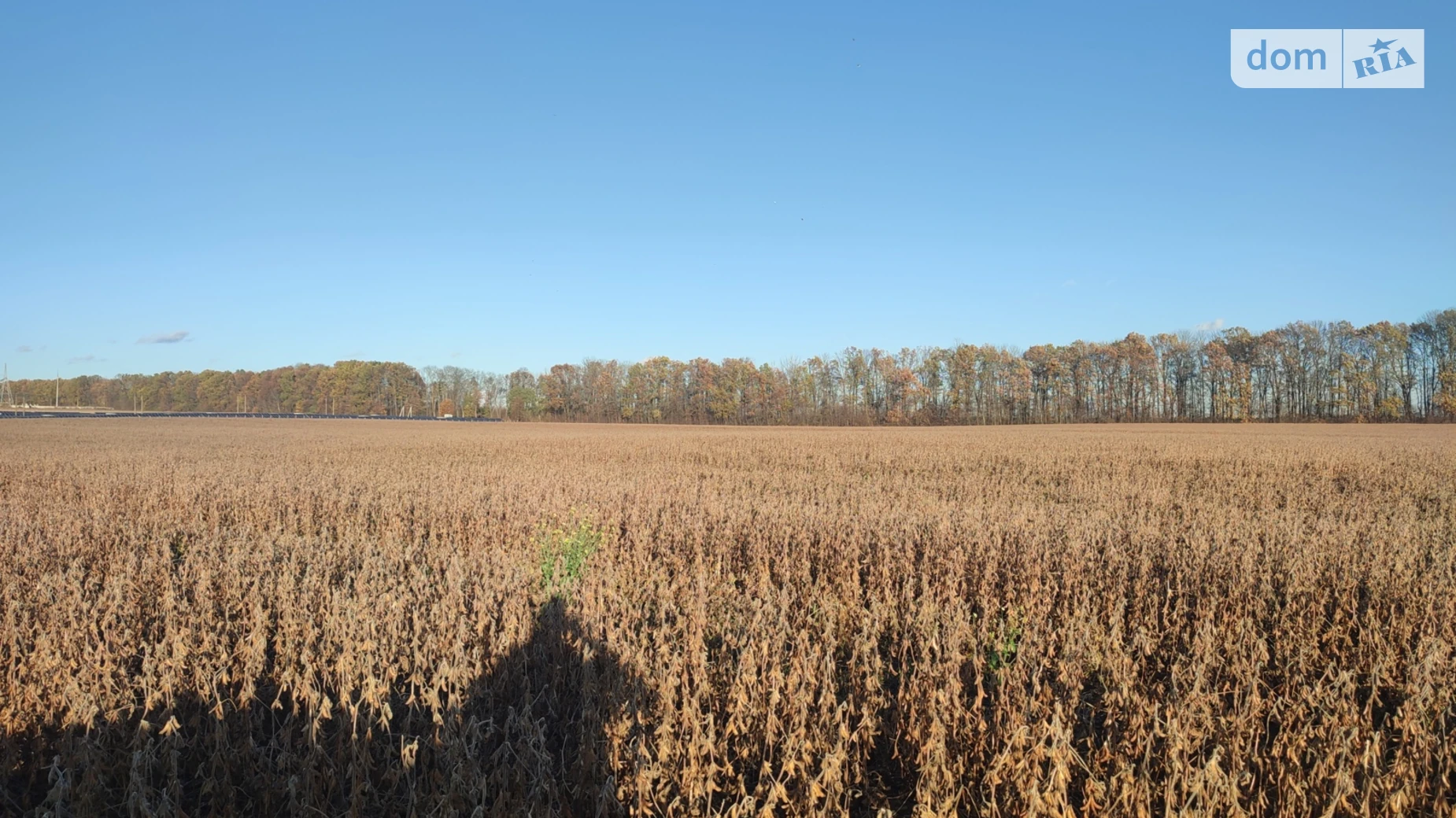 ул. Барвинковая Якушинцы, цена: 200000 $ - фото 2