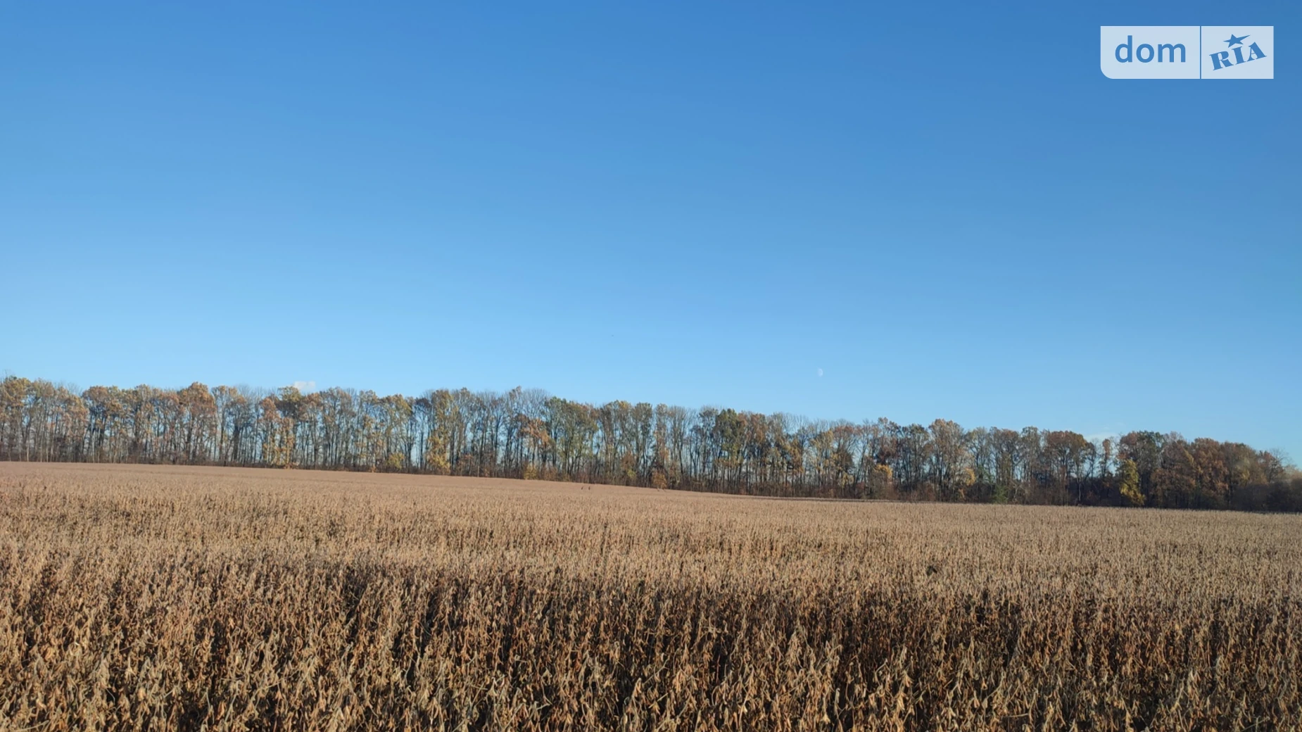 Продається земельна ділянка 150 соток у Вінницькій області, цена: 150000 $ - фото 2