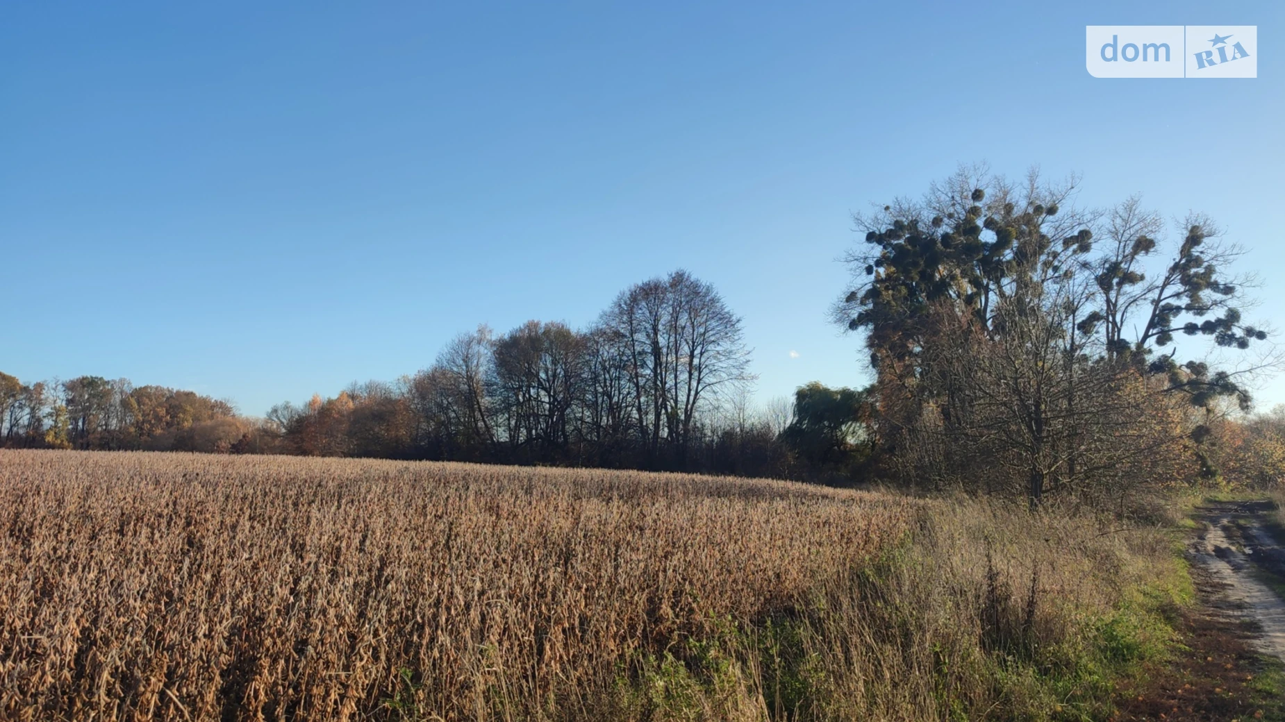 Продається земельна ділянка 150 соток у Вінницькій області, цена: 150000 $ - фото 4