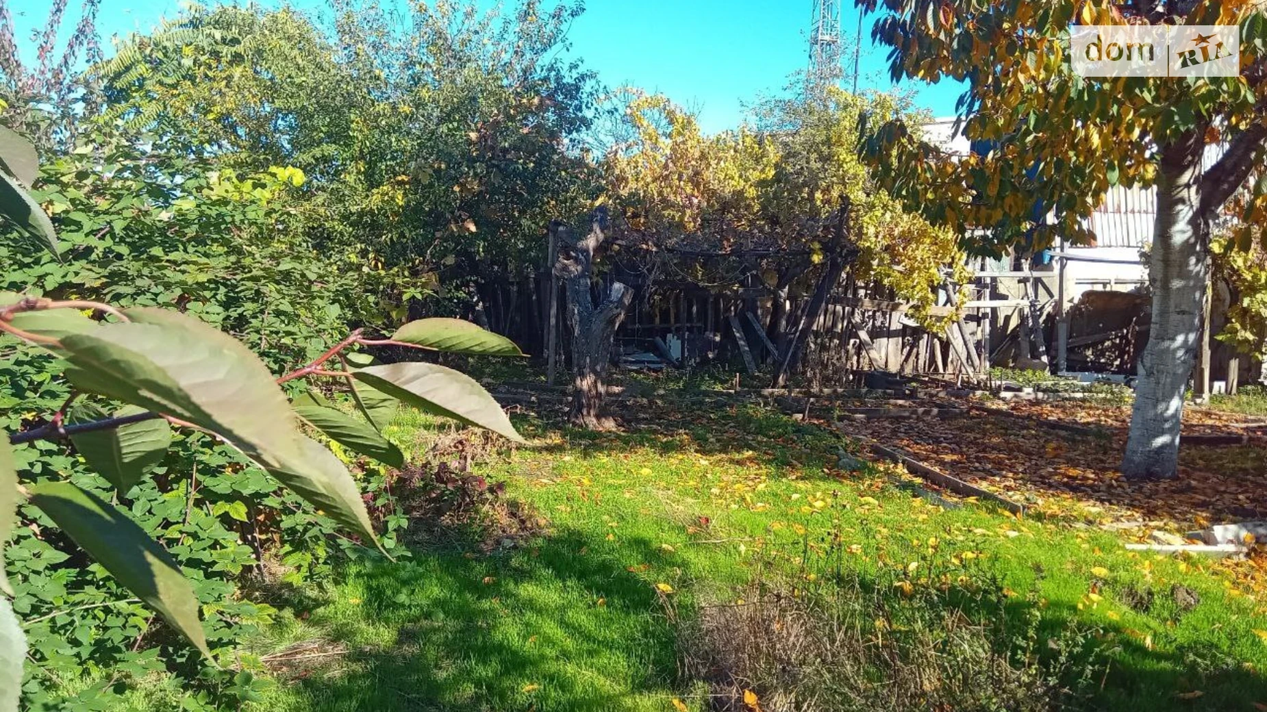 Продается одноэтажный дом 55 кв. м с беседкой, цена: 45000 $ - фото 3