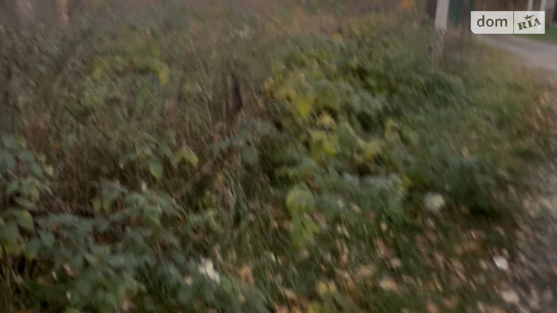 Продается земельный участок 9 соток в Львовской области, цена: 110000 $ - фото 5