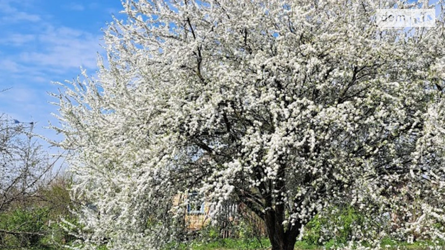 Продається одноповерховий будинок 66 кв. м з ділянкою, цена: 6500 $ - фото 5