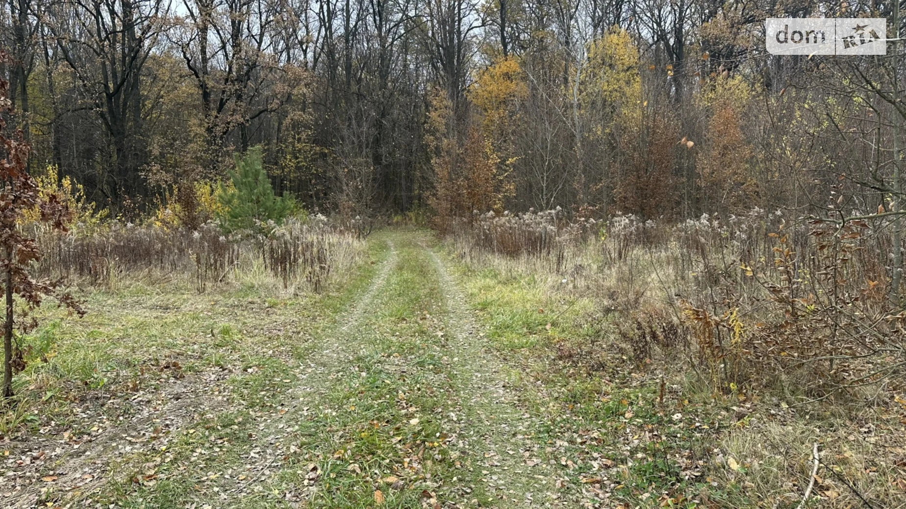 Продается земельный участок 16 соток в Винницкой области, цена: 38000 $ - фото 3