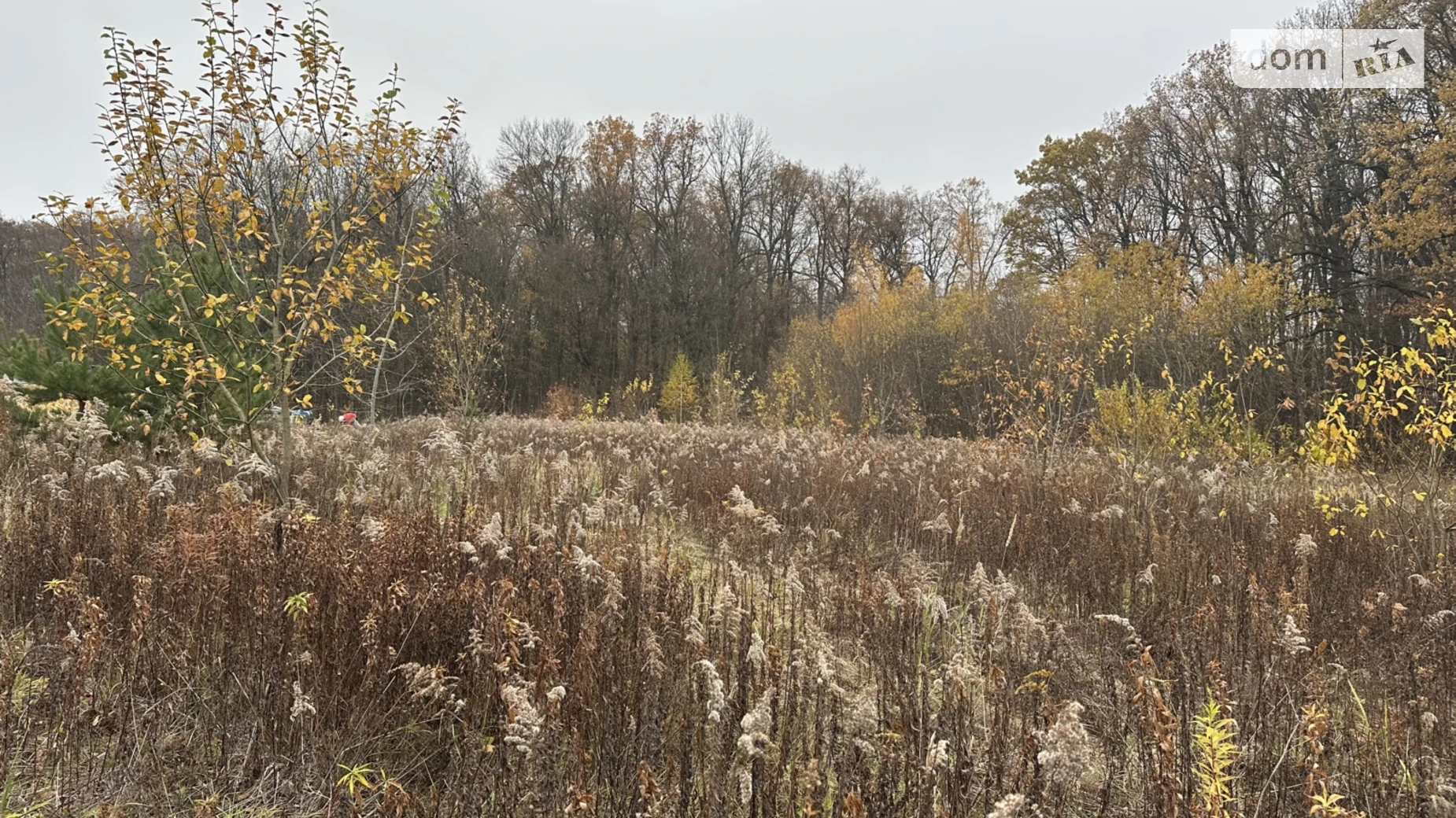 Продается земельный участок 16 соток в Винницкой области, цена: 38000 $ - фото 5