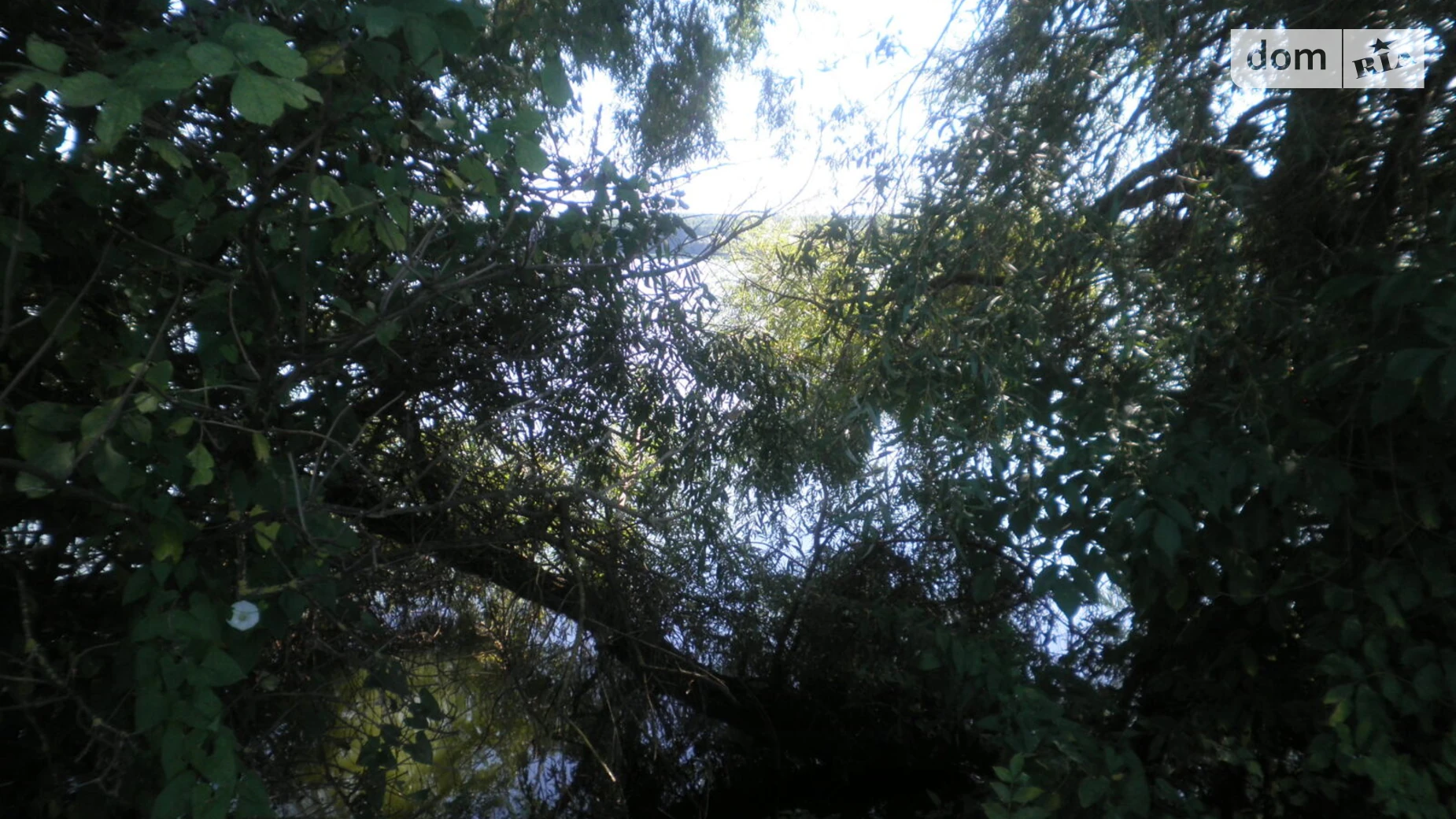 Продается земельный участок 30.36 соток в Хмельницкой области, цена: 25000 $ - фото 3