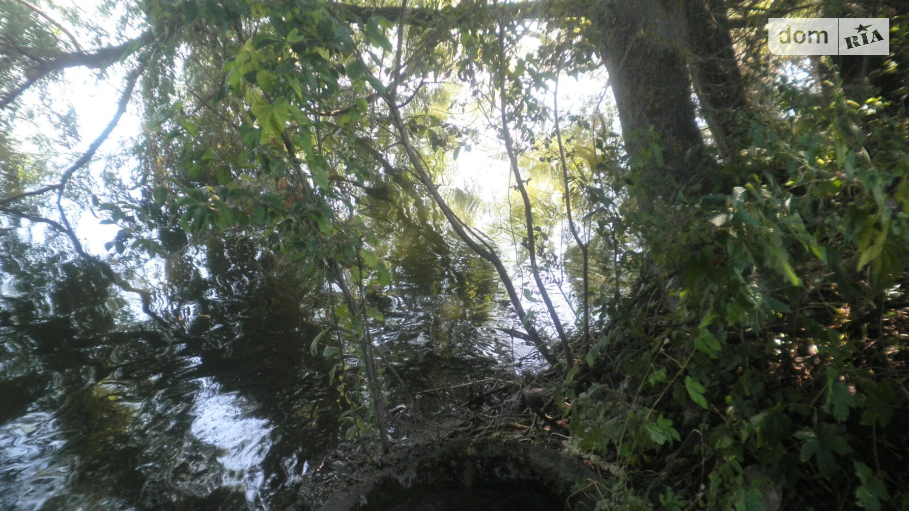 Продается земельный участок 30.36 соток в Хмельницкой области, цена: 25000 $ - фото 5