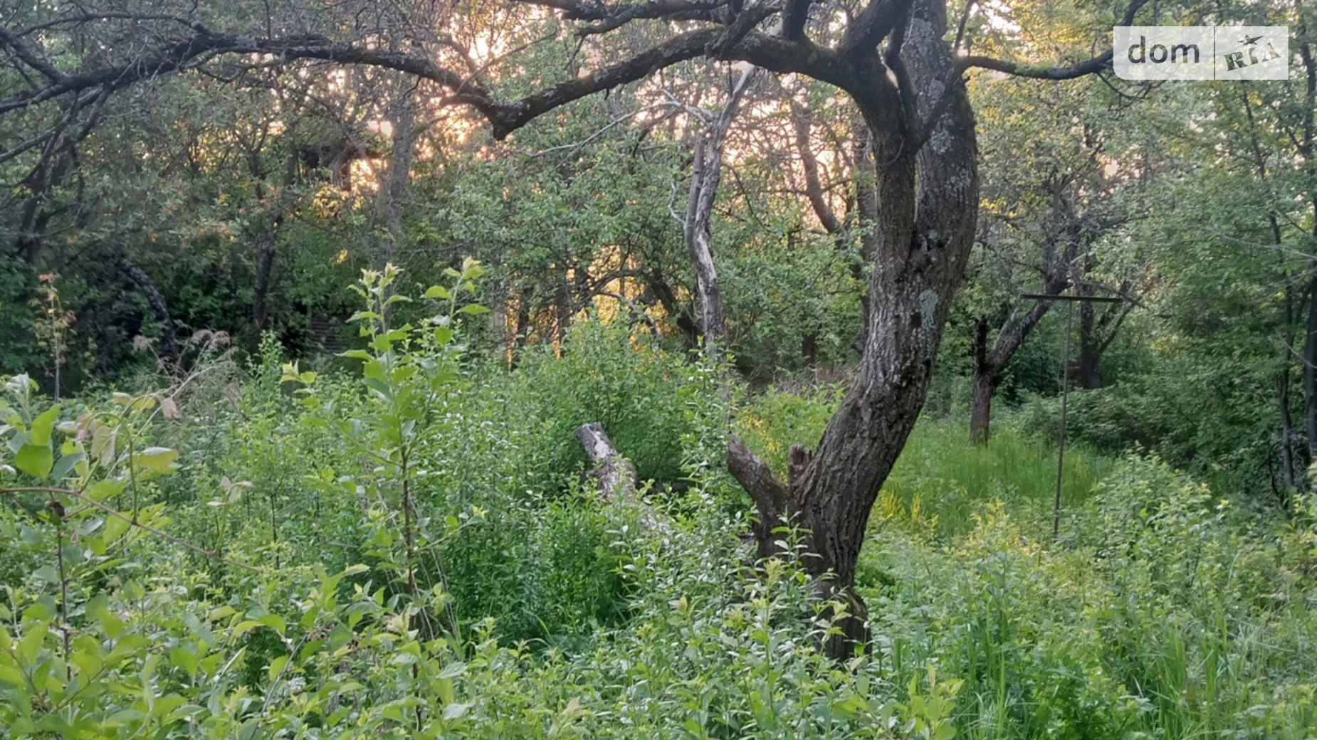 Продается земельный участок 6 соток в Закарпатской области, цена: 7000 $ - фото 3