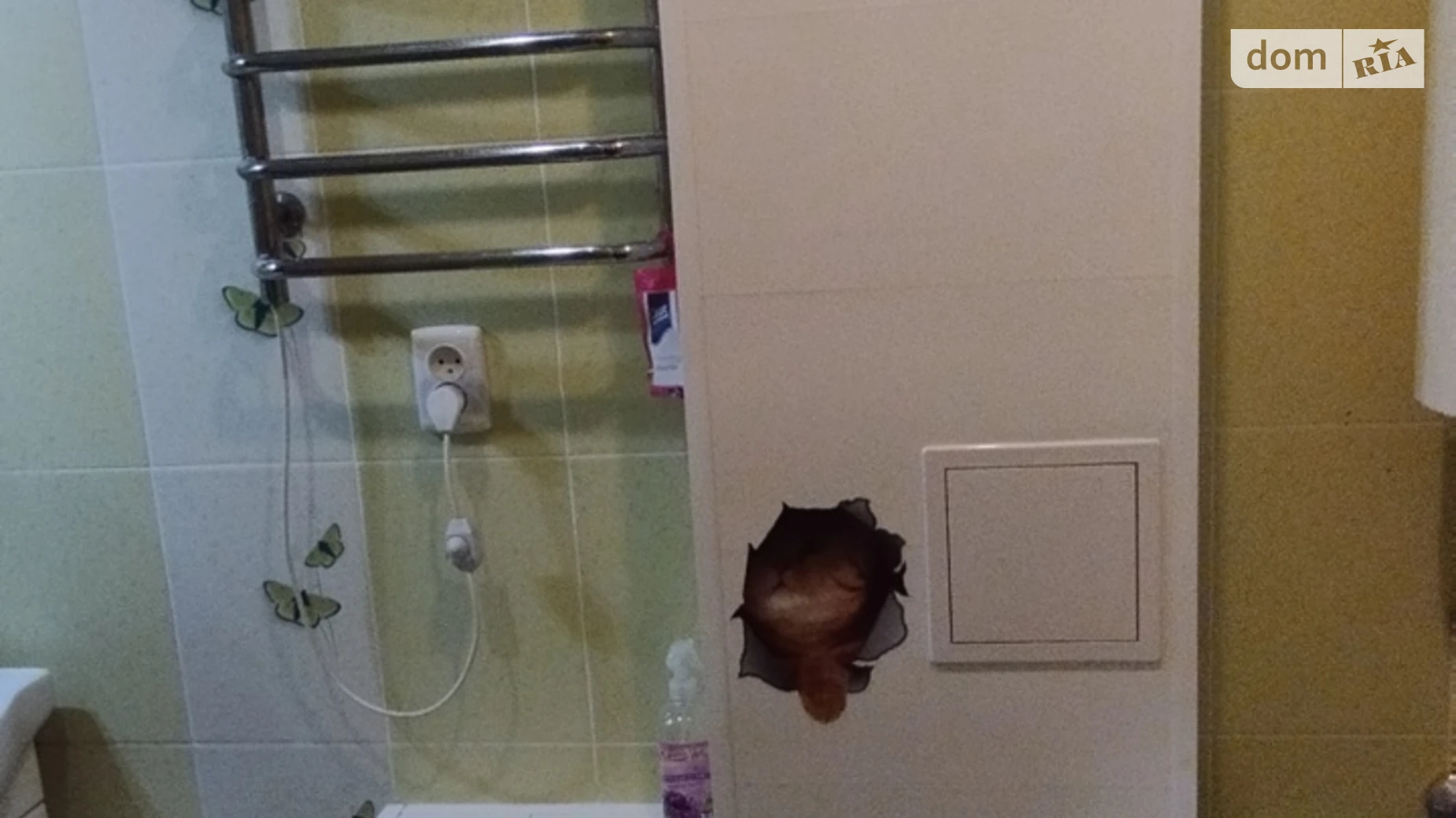 2-комнатная квартира 43 кв. м в Запорожье, цена: 26000 $ - фото 5