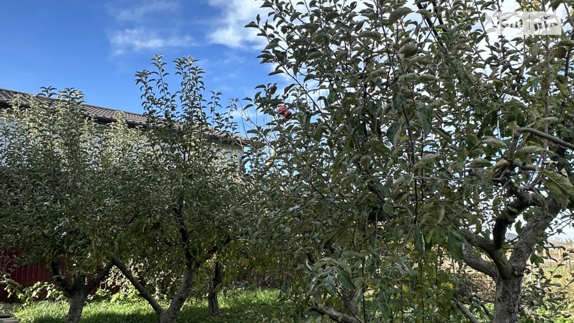 Продається одноповерховий будинок 100 кв. м з верандою, цена: 120000 $ - фото 3