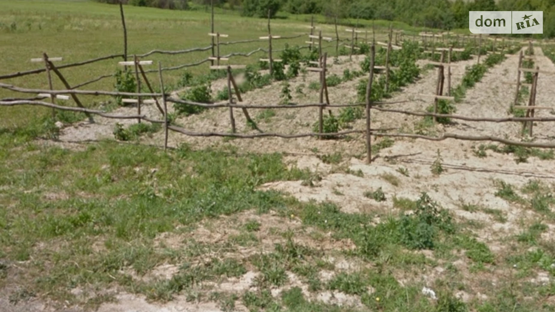 Продається земельна ділянка 59.79 соток у Закарпатській області, цена: 350 $ - фото 3