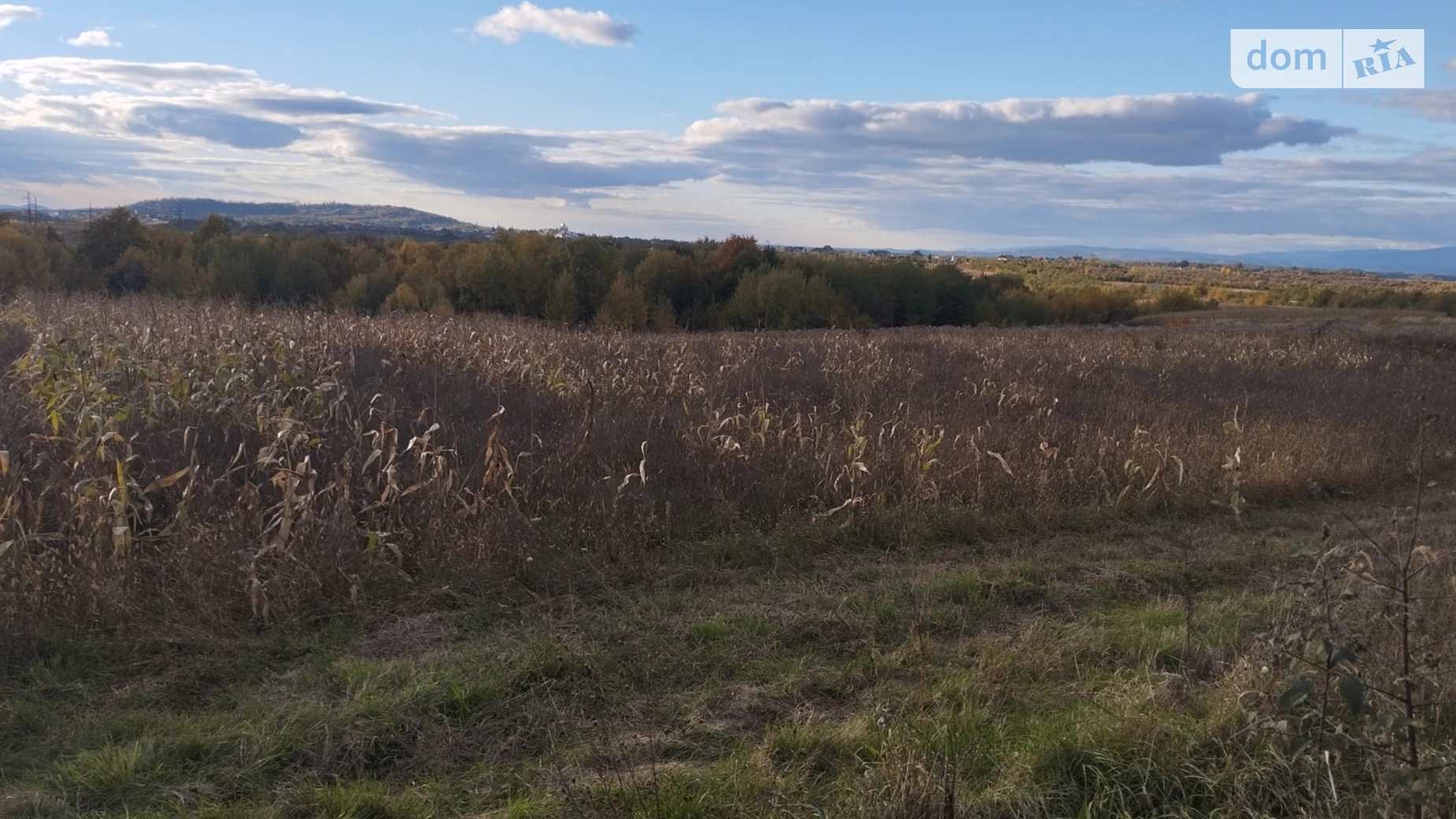 Продається земельна ділянка 59.79 соток у Закарпатській області, цена: 350 $ - фото 4