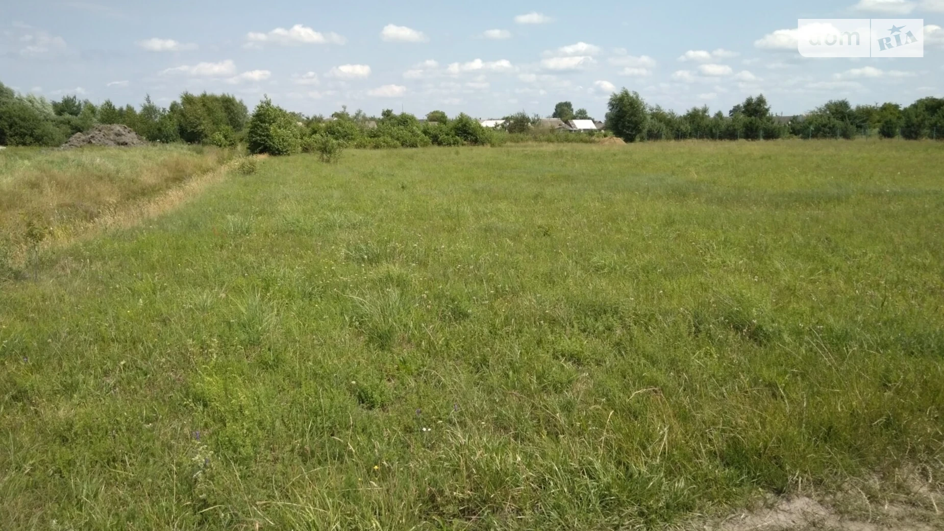 Продается земельный участок 18 соток в Волынской области, цена: 18000 $ - фото 3