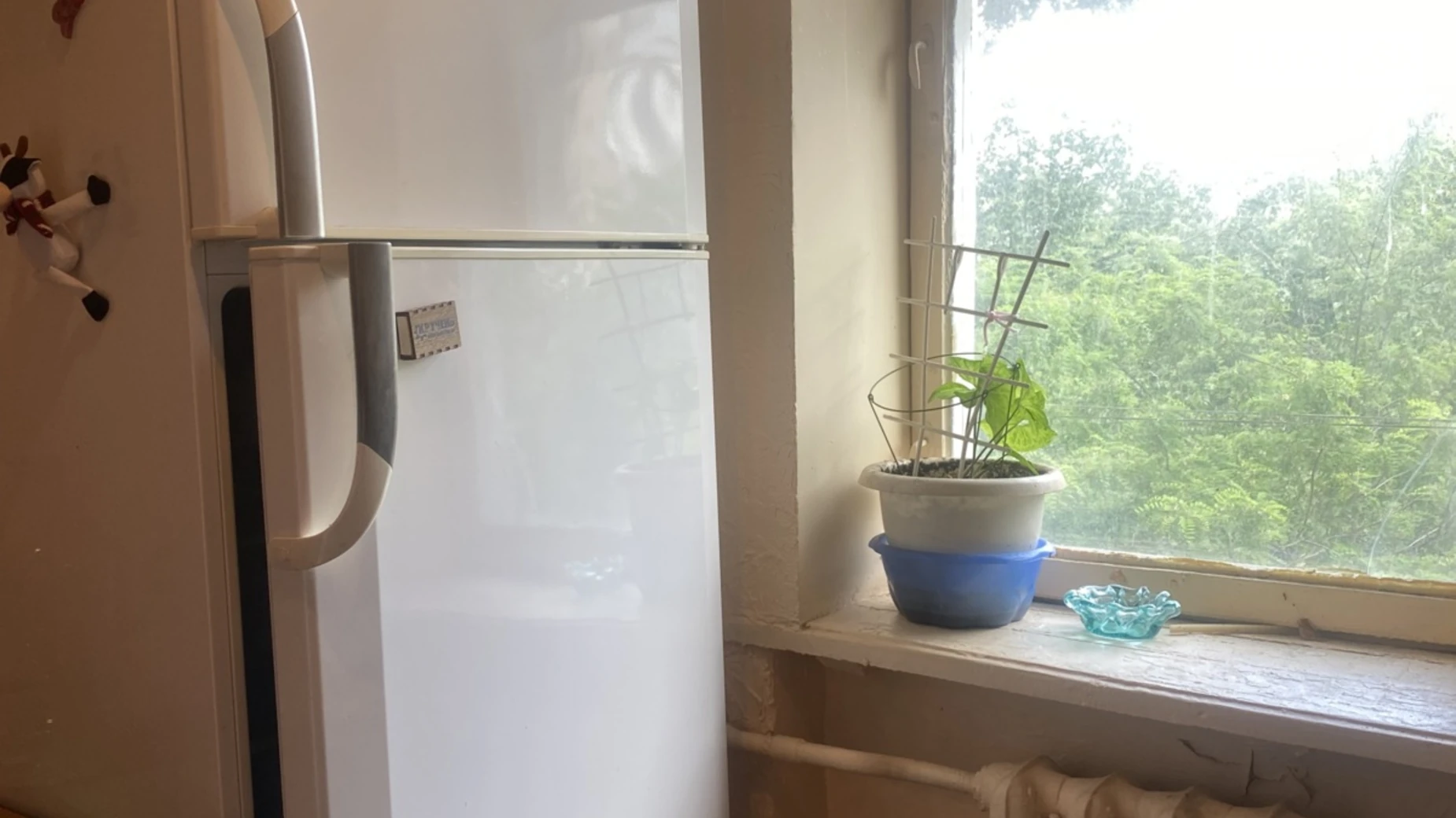 Здається в оренду 1-кімнатна квартира 30 кв. м у Одесі, цена: 4000 грн - фото 5