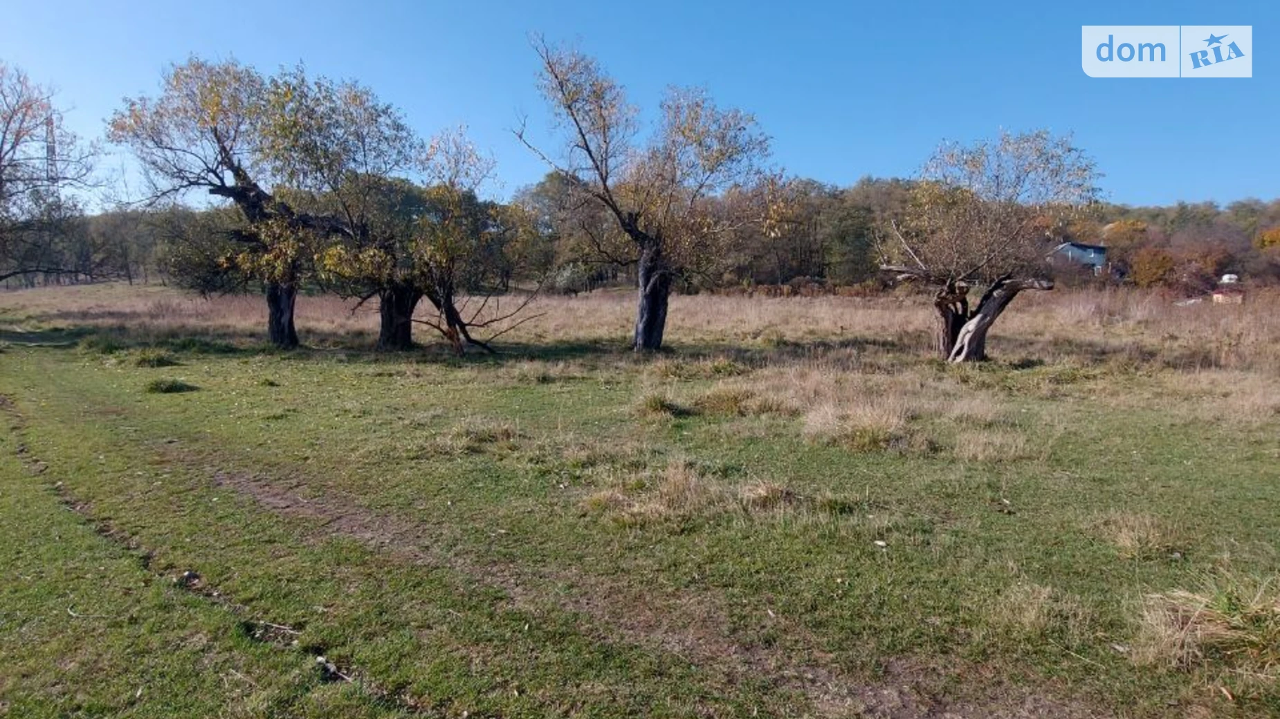 Продается земельный участок 78 соток в Днепропетровской области, цена: 30000 $ - фото 3